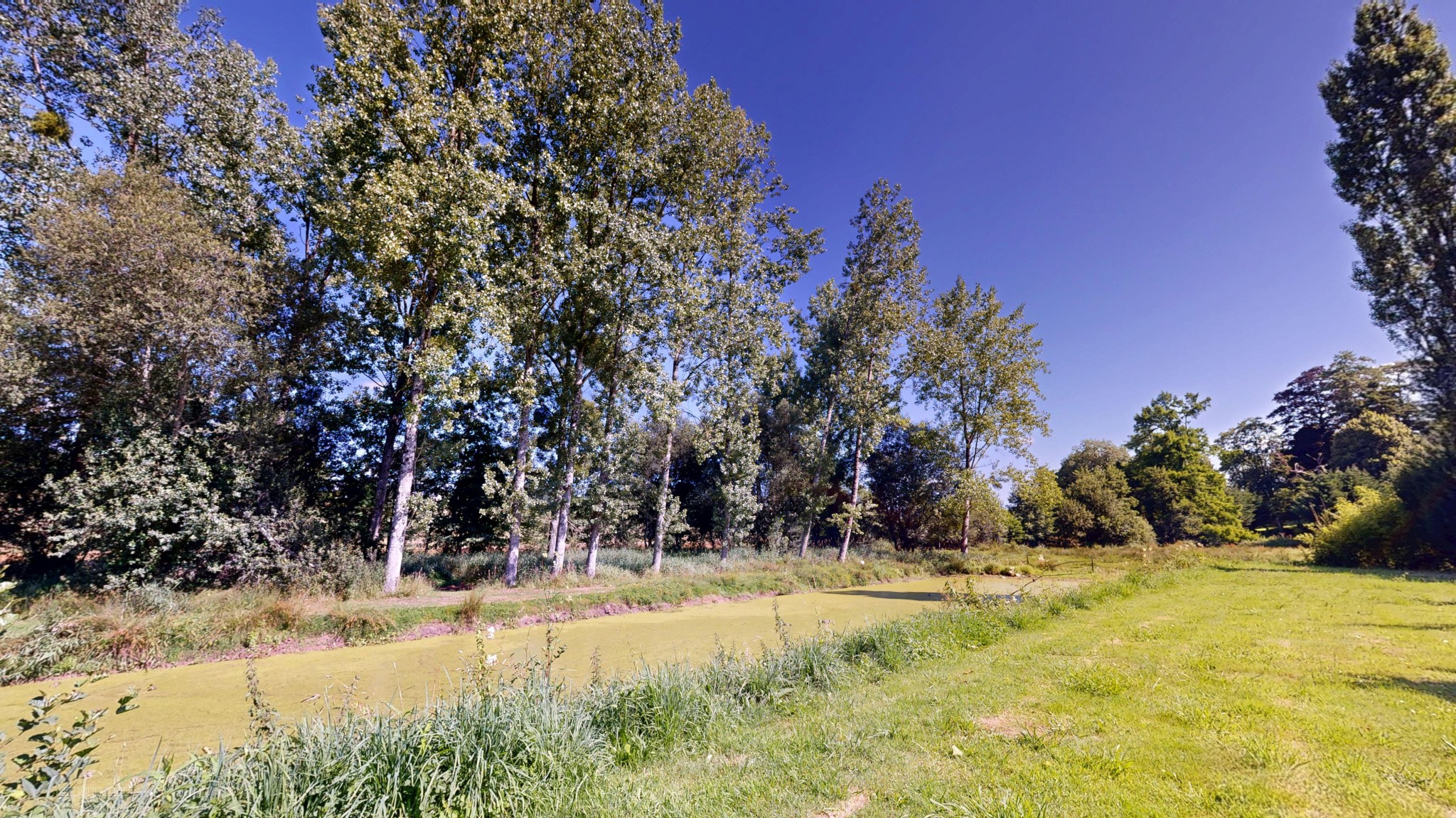 Propriété 190 m2 avec nombreuses dépendances et étang — photo 4