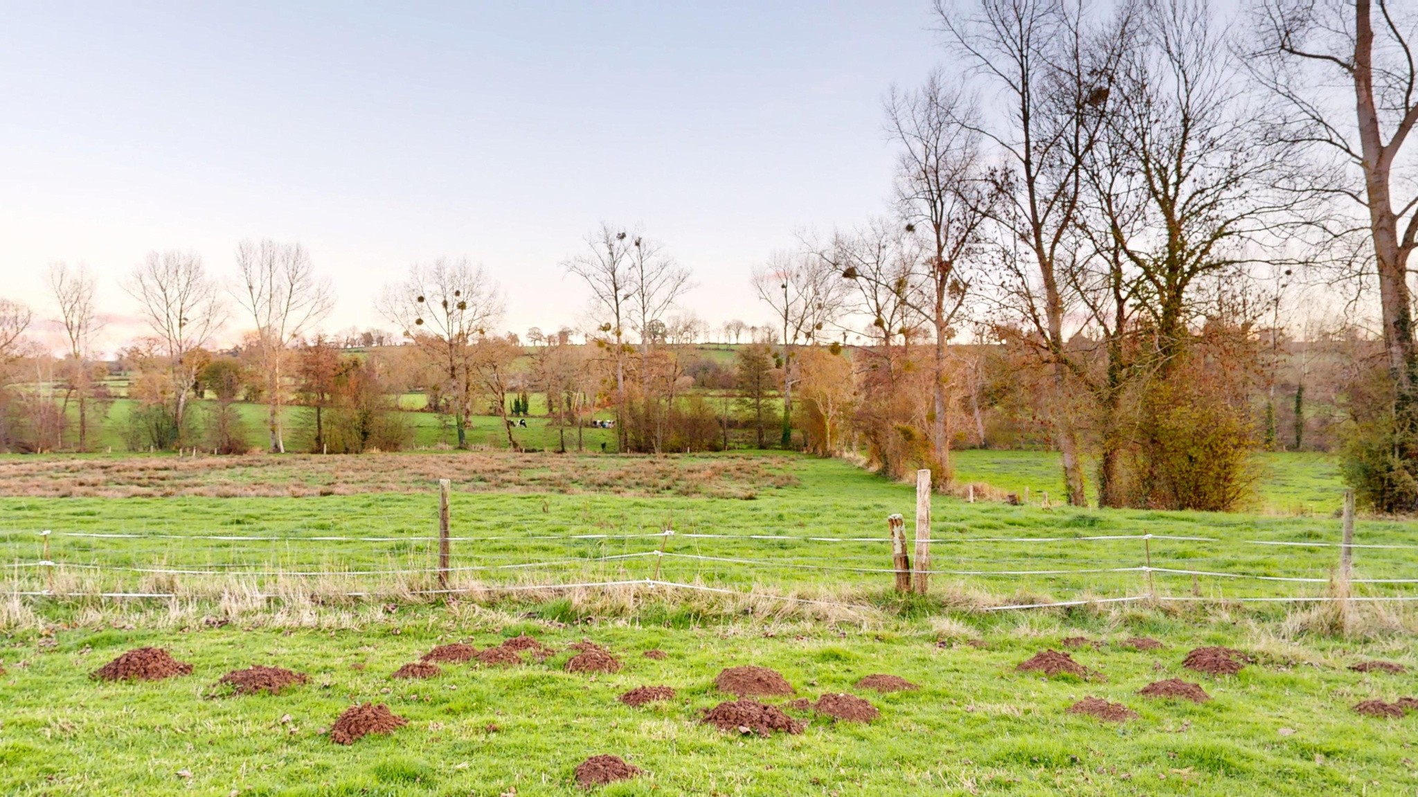 Maison de 163m2 avec dépendances sur terrain d'un hectare — photo 20
