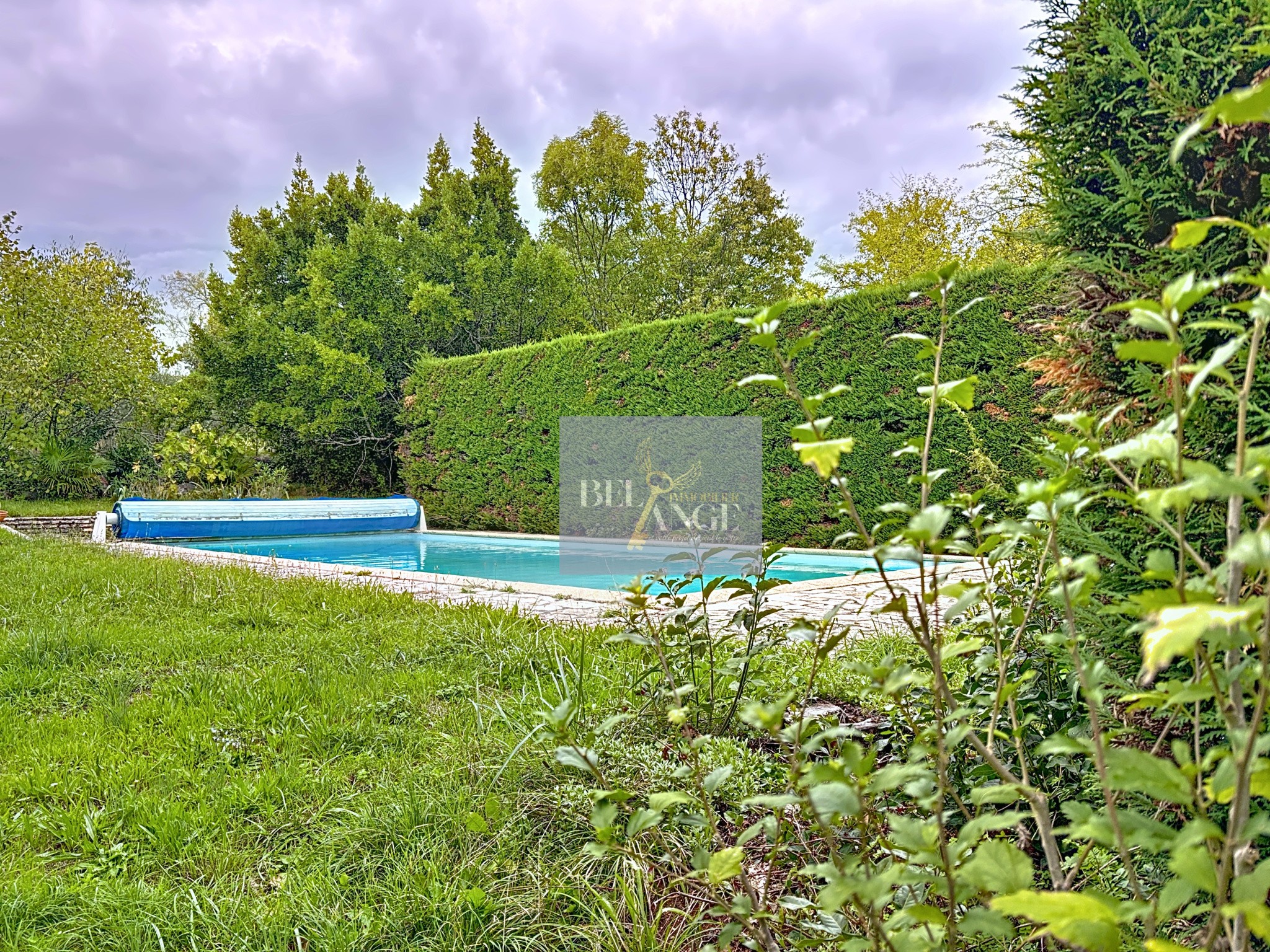 Maison familiale nichée dans un écrin de verdure — photo 3