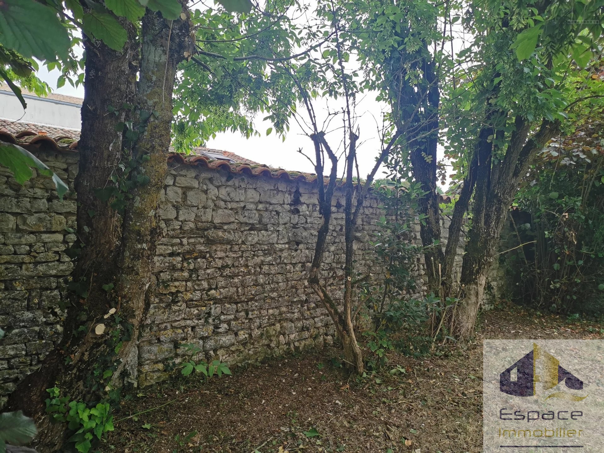 TERRAIN 490 m2 — photo 3