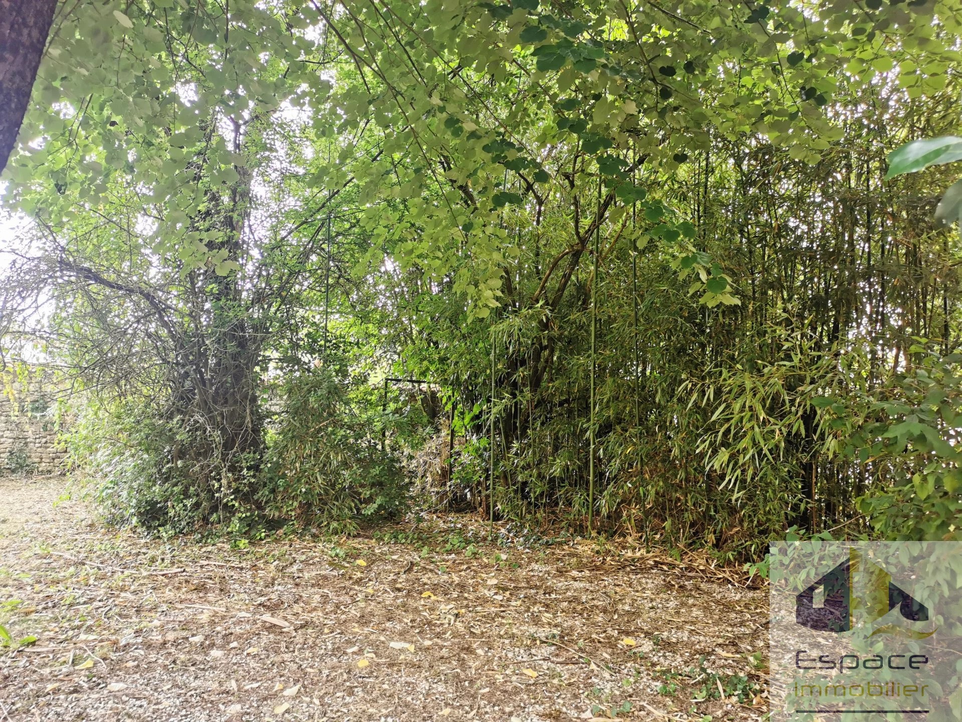 TERRAIN 490 m2 — photo 4