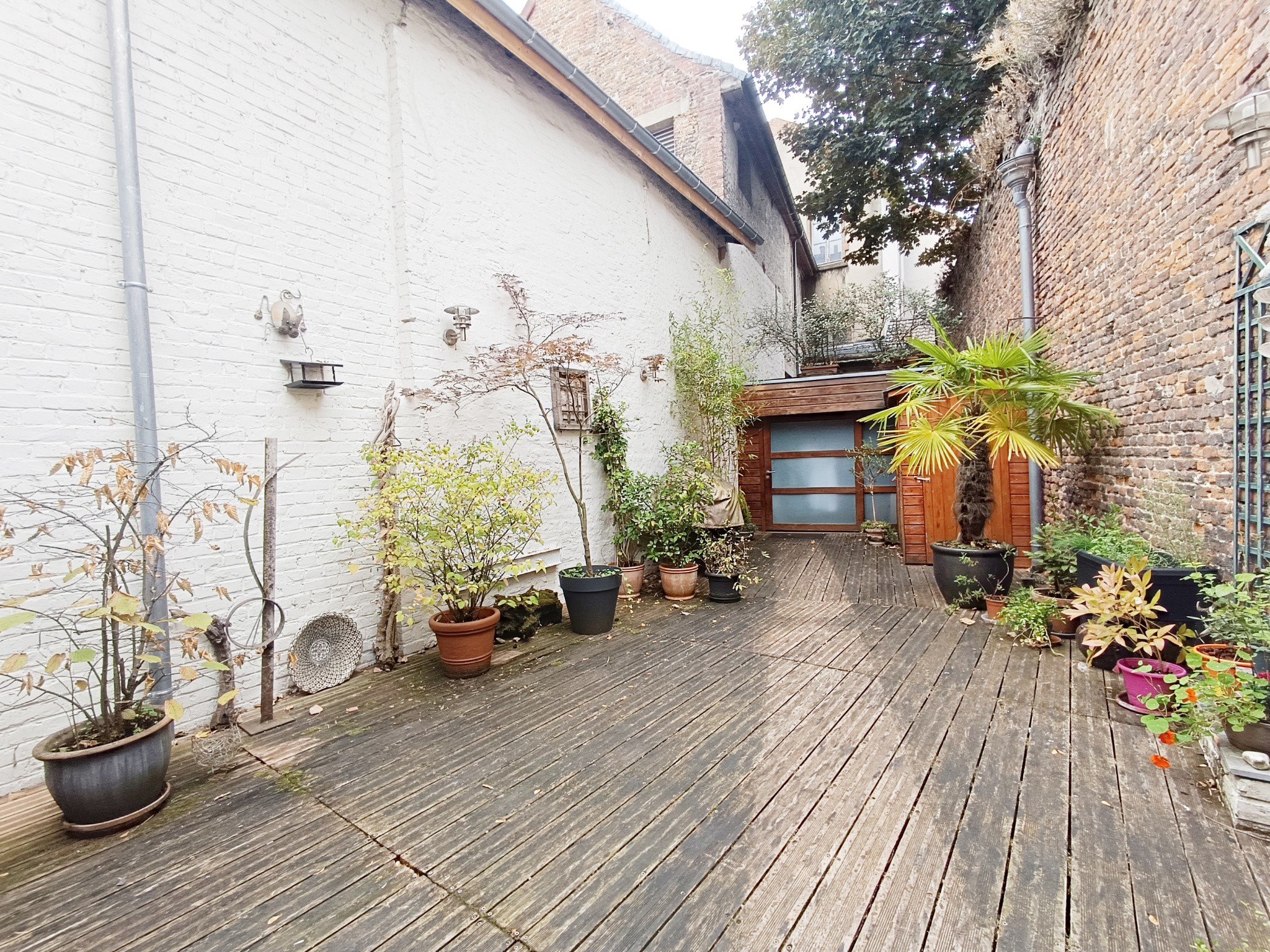 Maison familiale 6 chambres au cœur de Douai — photo 6