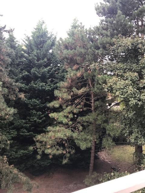 VENTE APPARTEMENT QUARTIER CALME — photo 2