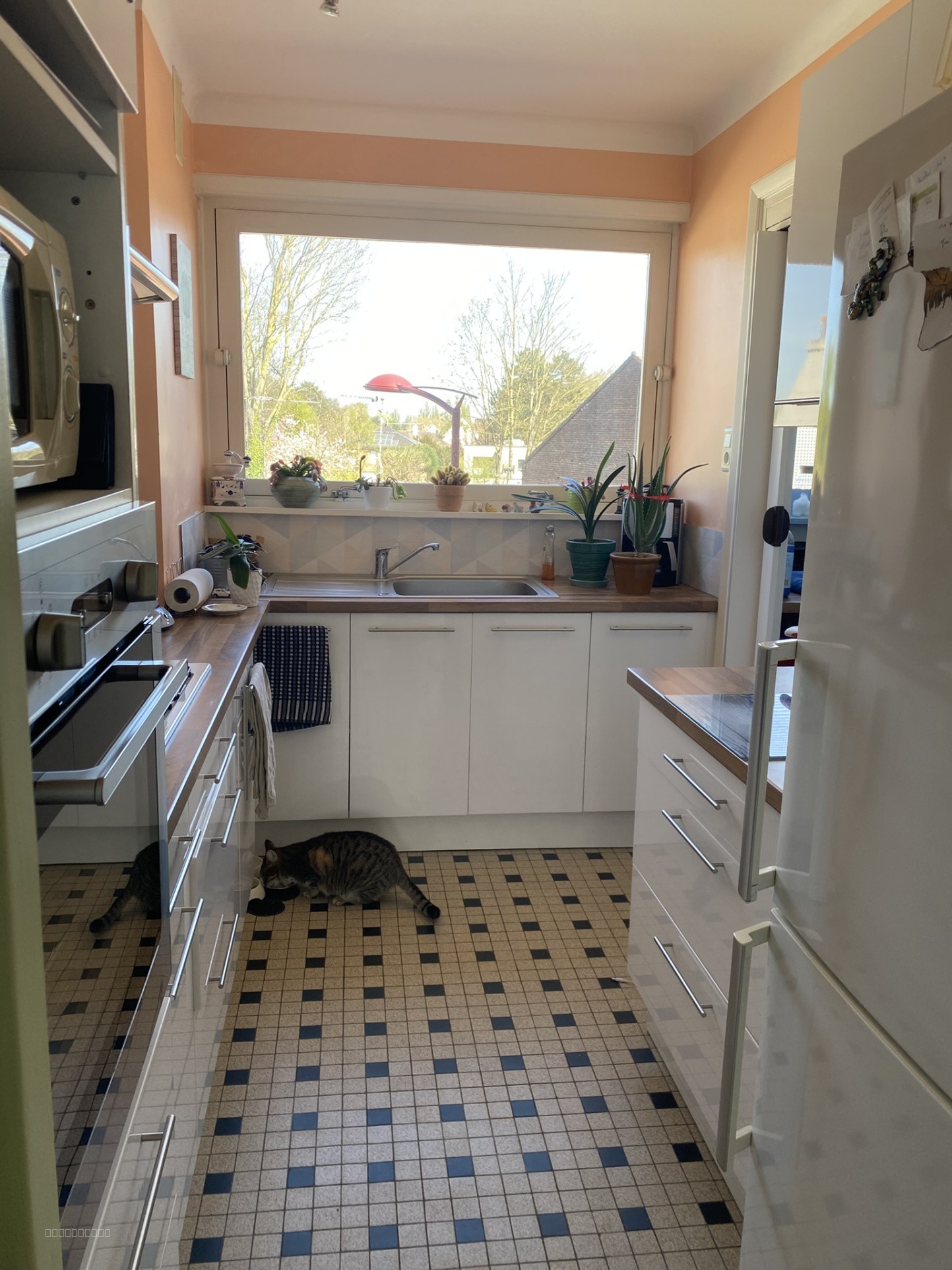 Marcq en Baroeul appartement Type 3+ garage — photo 4