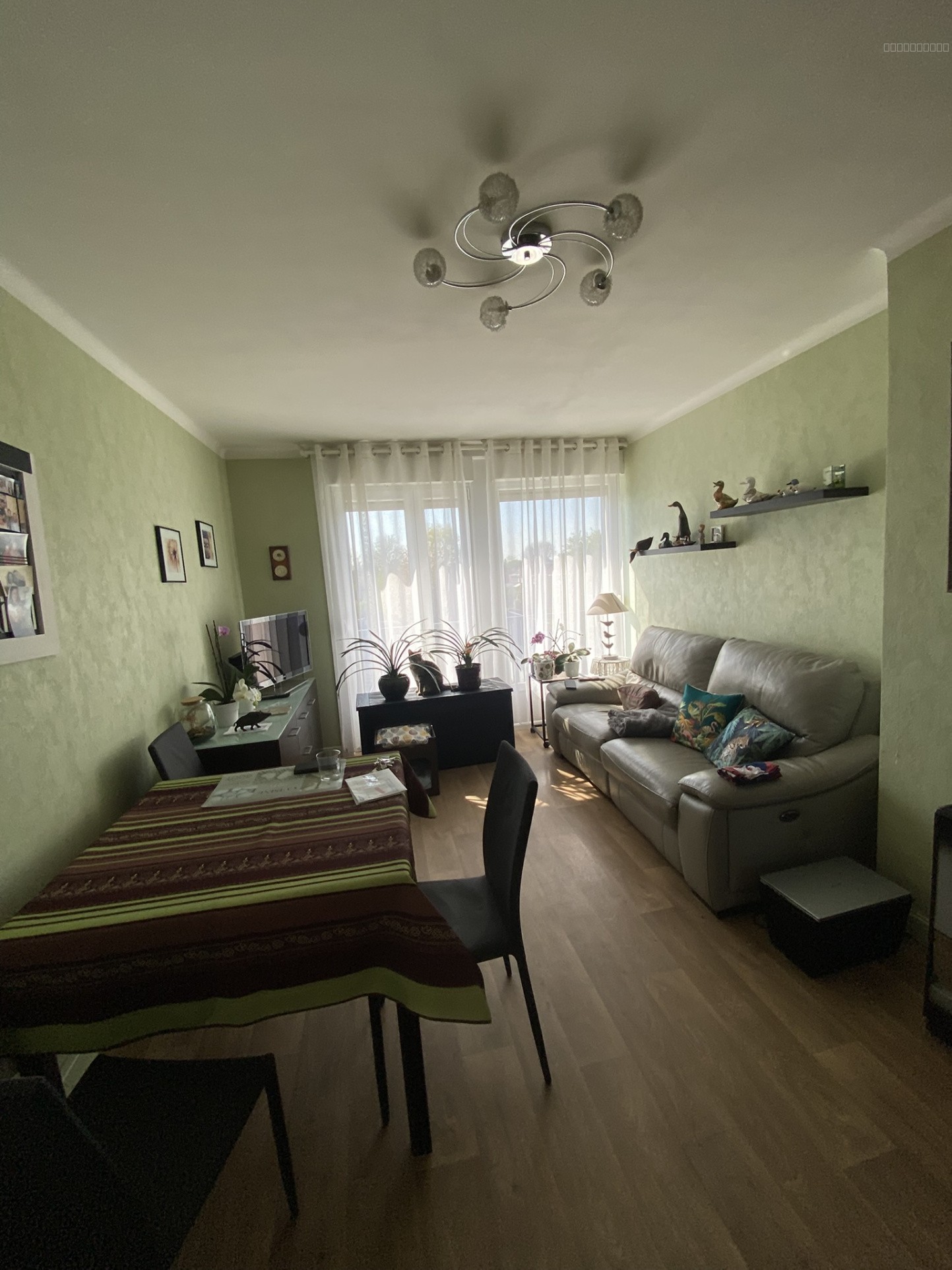 Marcq en Baroeul appartement Type 3+ garage — photo 3