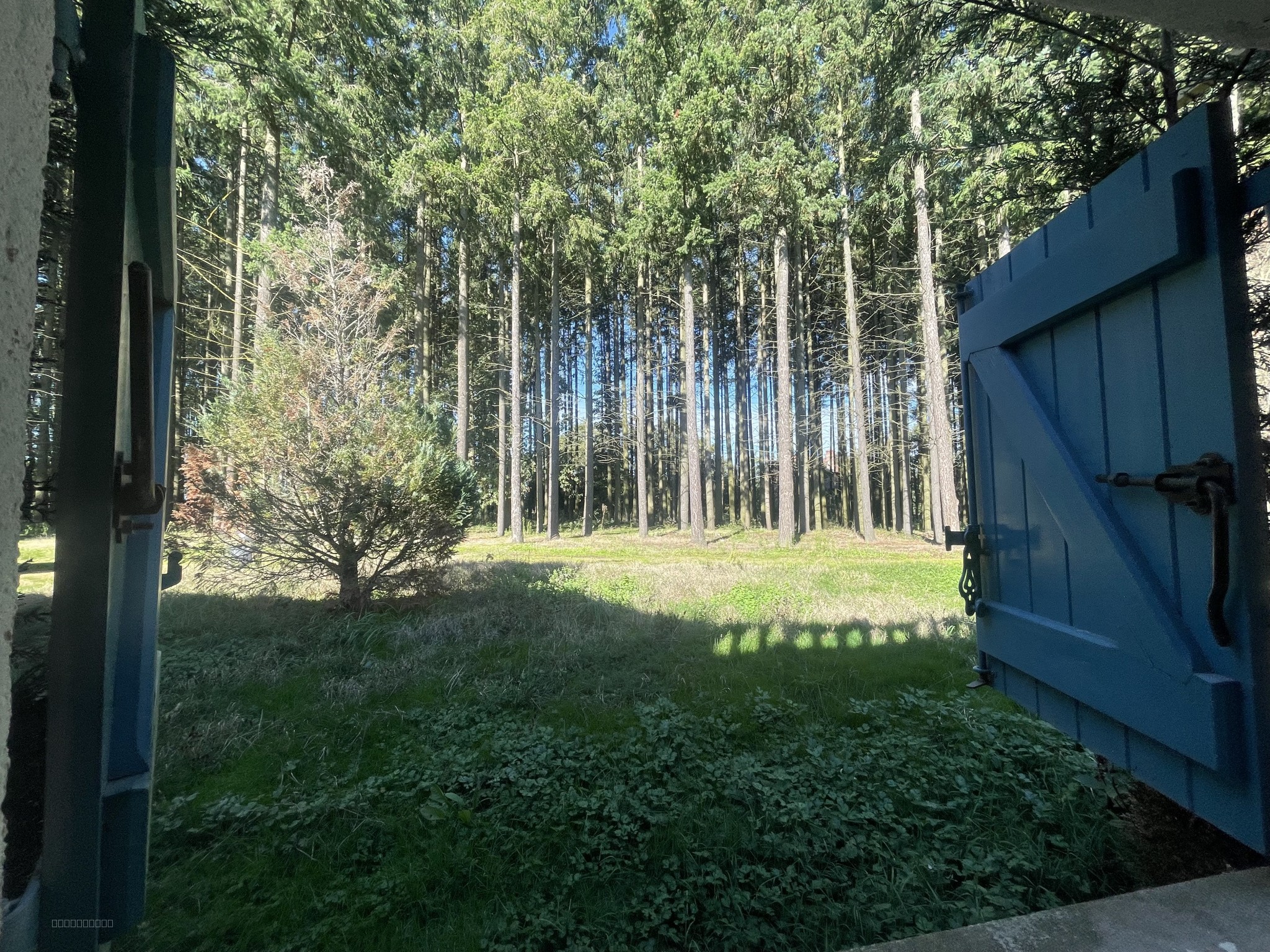 PROPRIETE D'EXCEPTION D'ENVIRON 140 M2 ENTOUREE 1,2 HECTARES DE FORET — photo 20