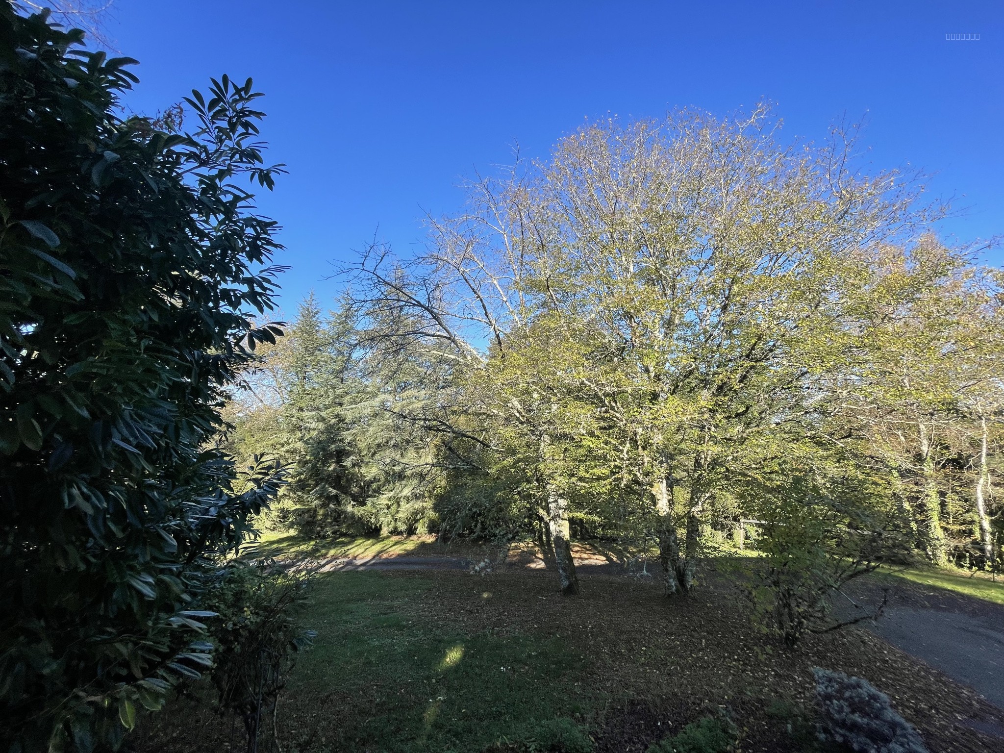 Villa à vendre à Ladignac-le-Long — photo 5