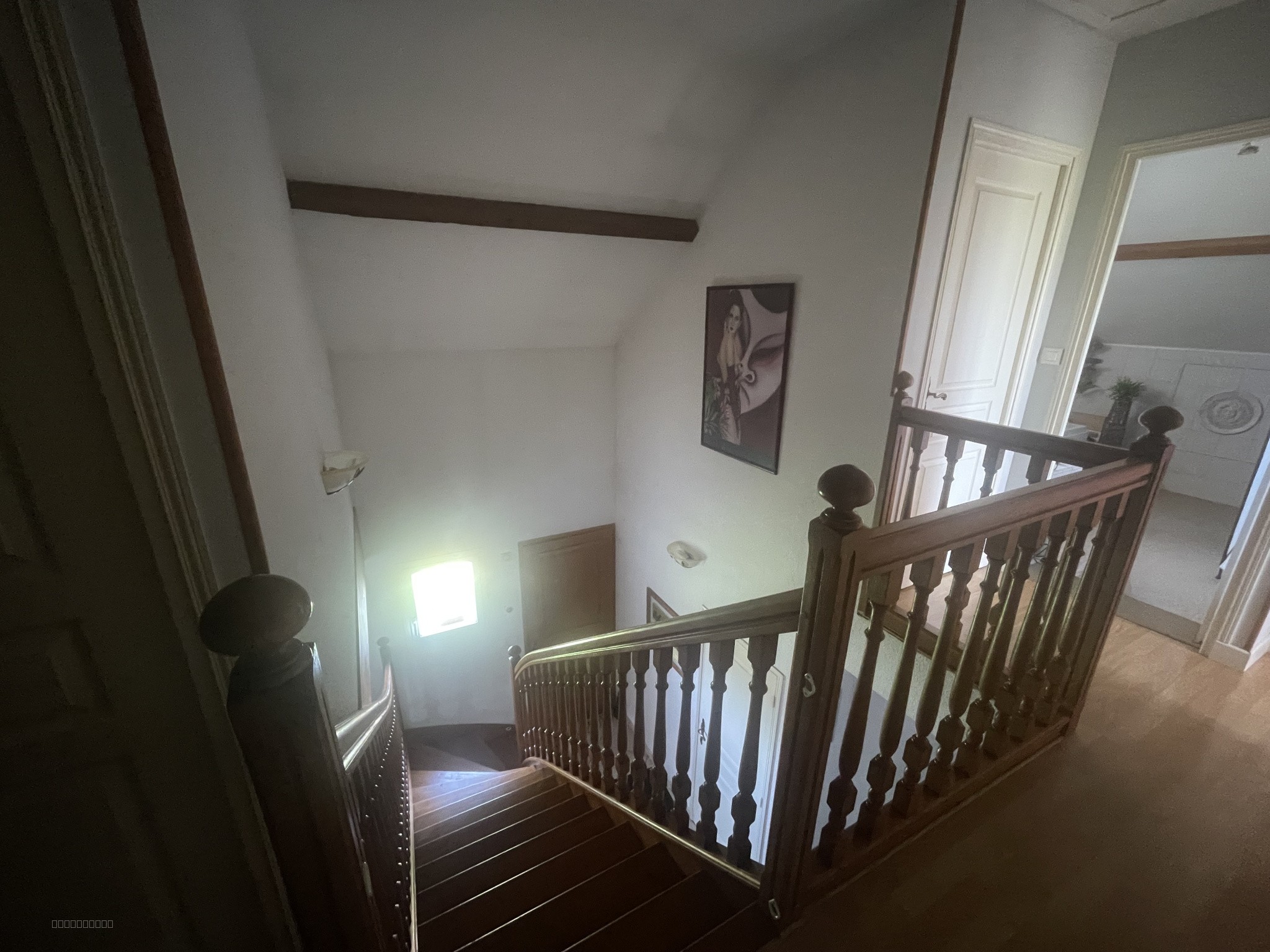 VILLA STYLE SAVOYARD 170 M2 VUE EXCEPTIONNELLE COTE ROANNAISE AVEC 2700 M2 — photo 18