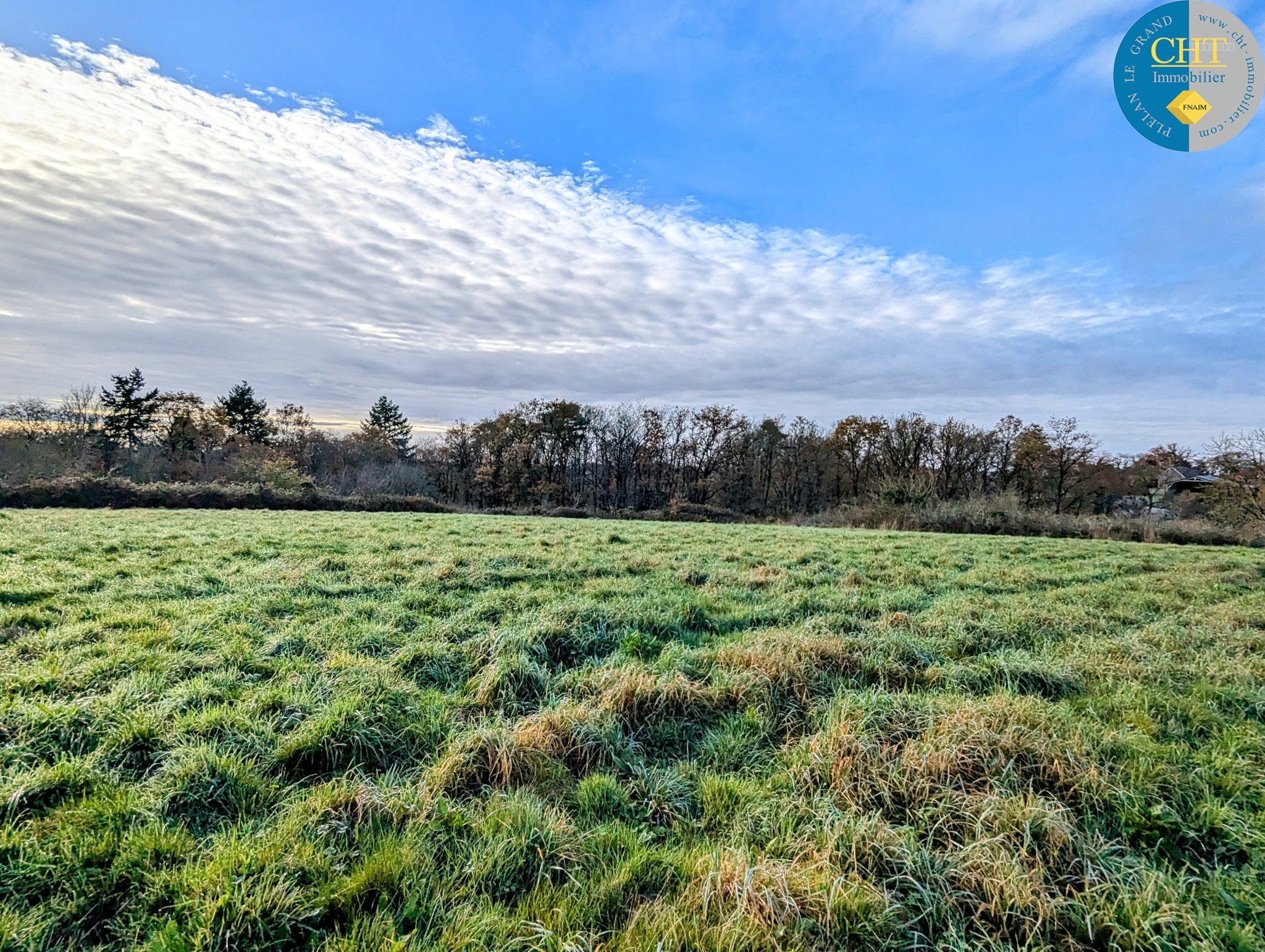 Terrain à bâtir hors lotissement à MONTENEUF — photo 3