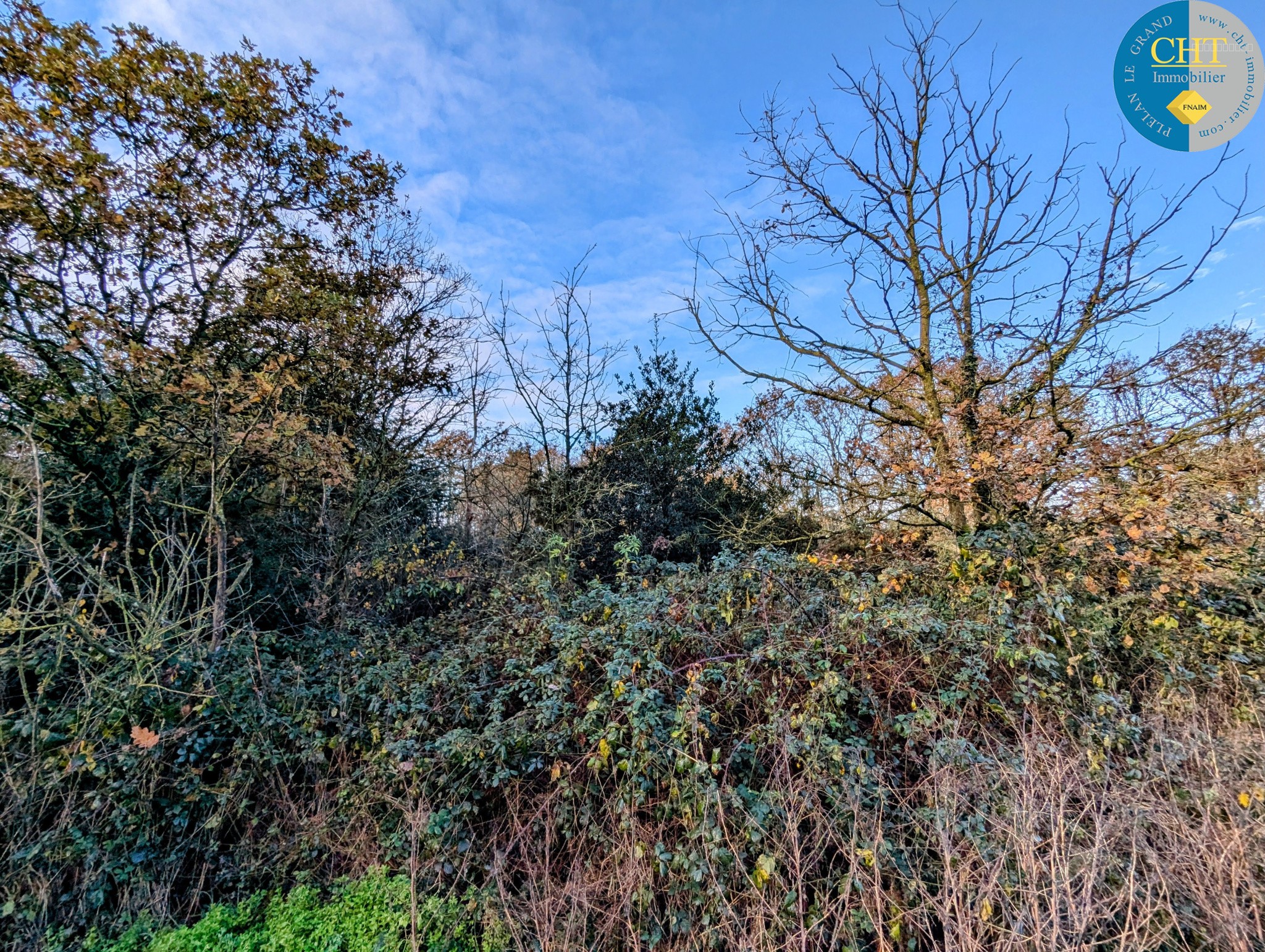 Terrain boisé à acheter avec CHT Immobilier — photo 7