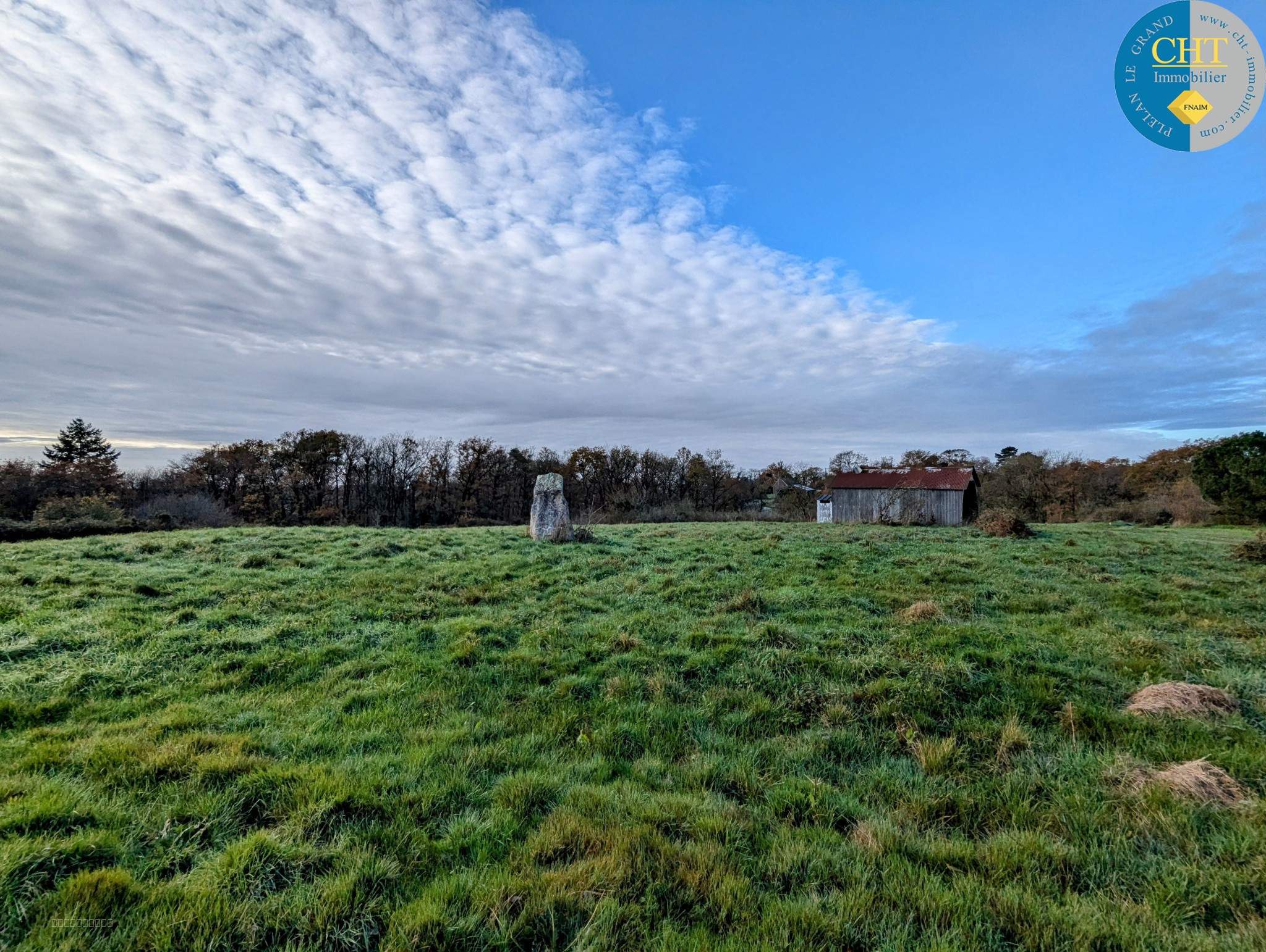 Terrain à bâtir hors lotissement à MONTENEUF — photo 4
