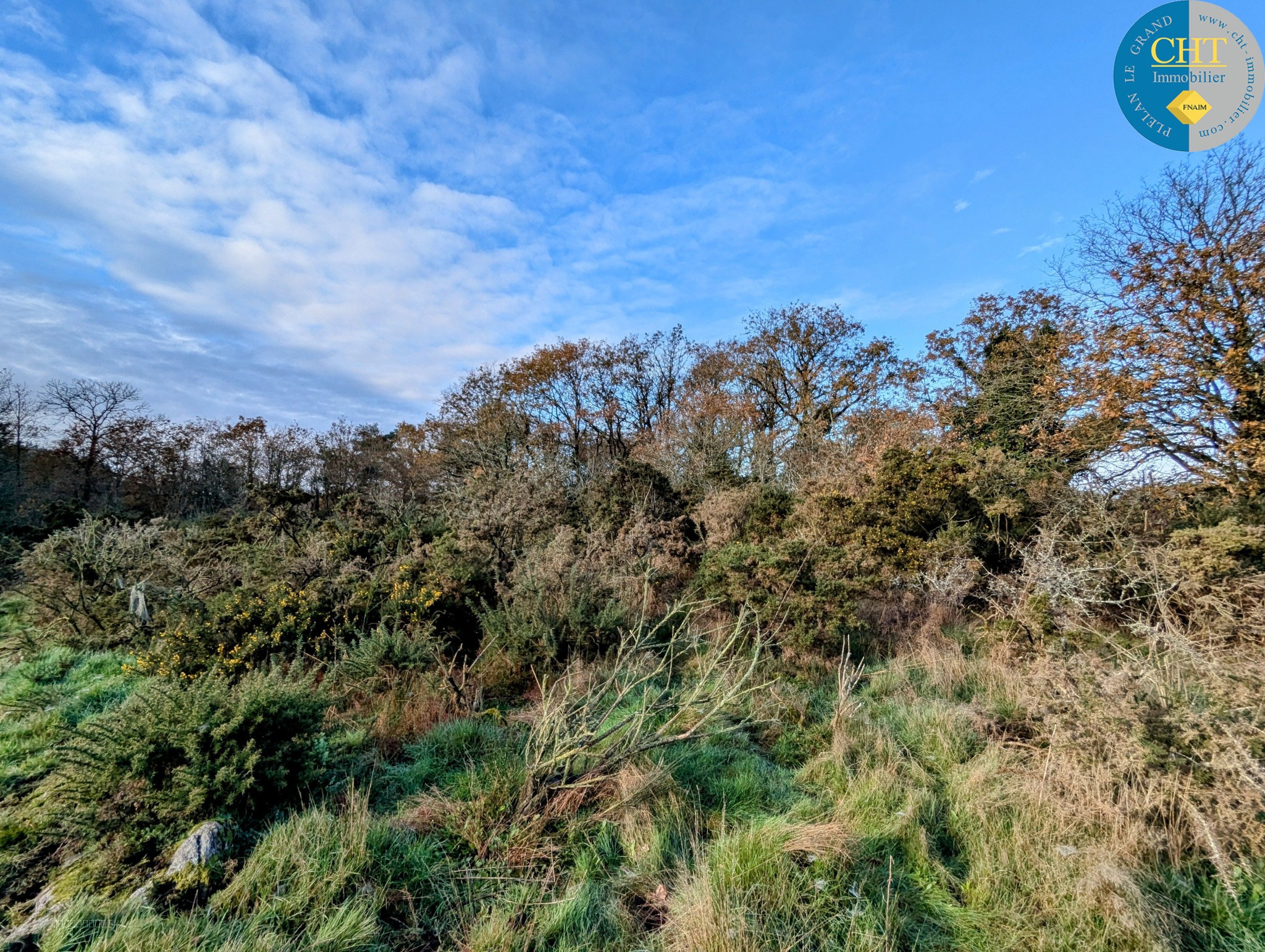 Terrain boisé à acheter avec CHT Immobilier — photo 6