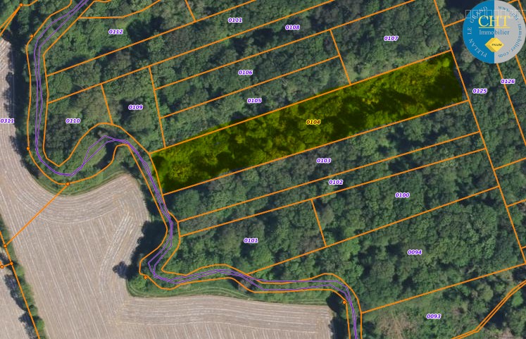 En vente à Loutehel (35) : terrain NON CONSTRUCTIBLE de 5035m2 — photo 5