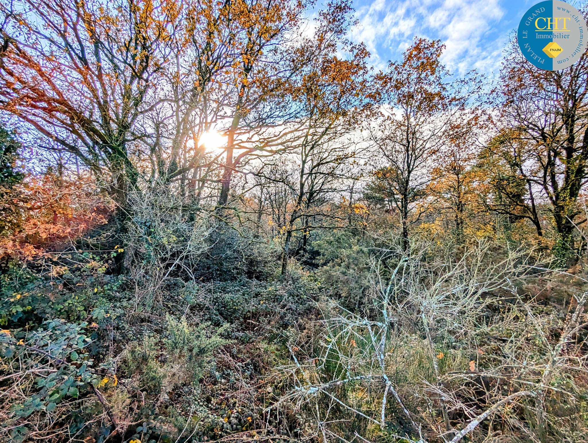 Terrain boisé à acheter avec CHT Immobilier — photo 3