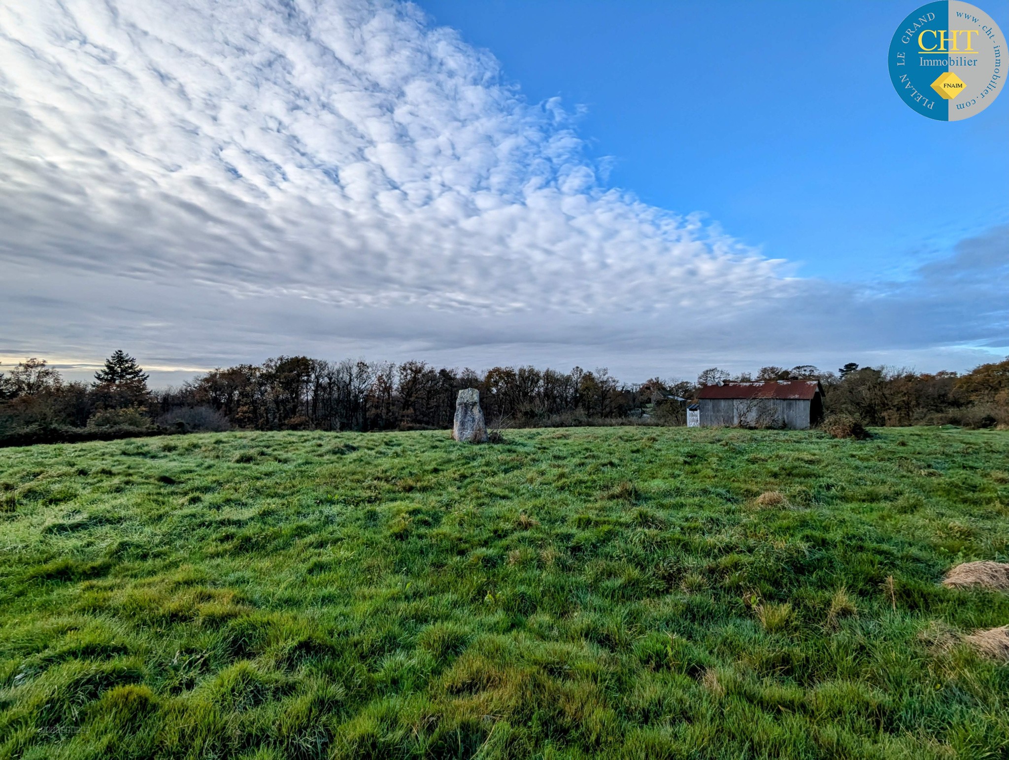 Terrain à bâtir hors lotissement à MONTENEUF — photo 6