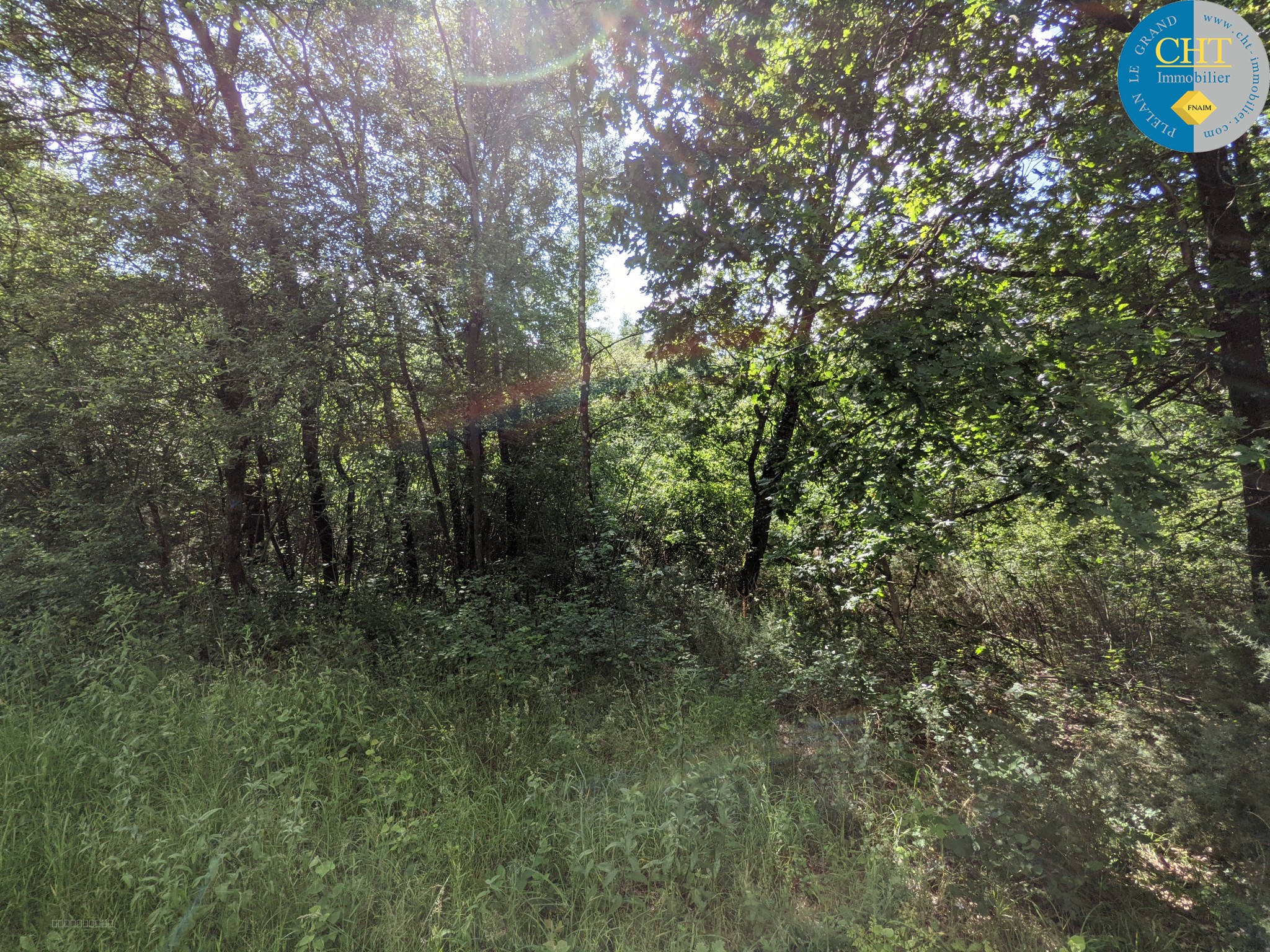 En vente à Loutehel (35) : terrain NON CONSTRUCTIBLE de 5035m2 — photo 4