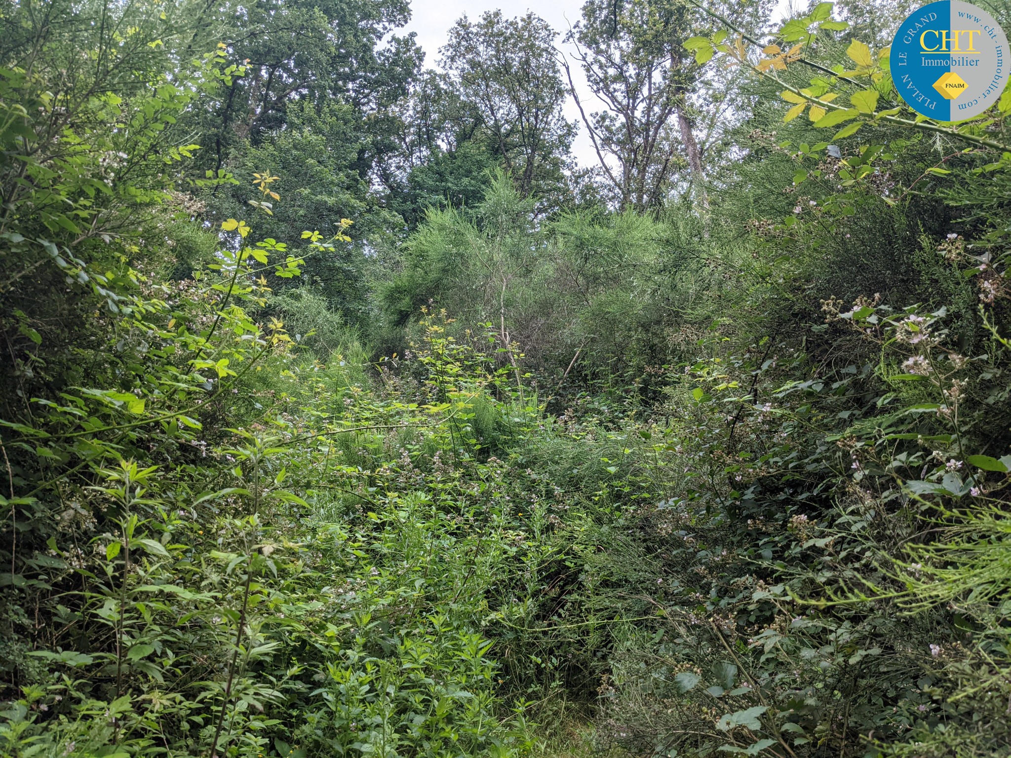 En vente à Loutehel (35) : terrain NON CONSTRUCTIBLE de 5035m2 — photo 3