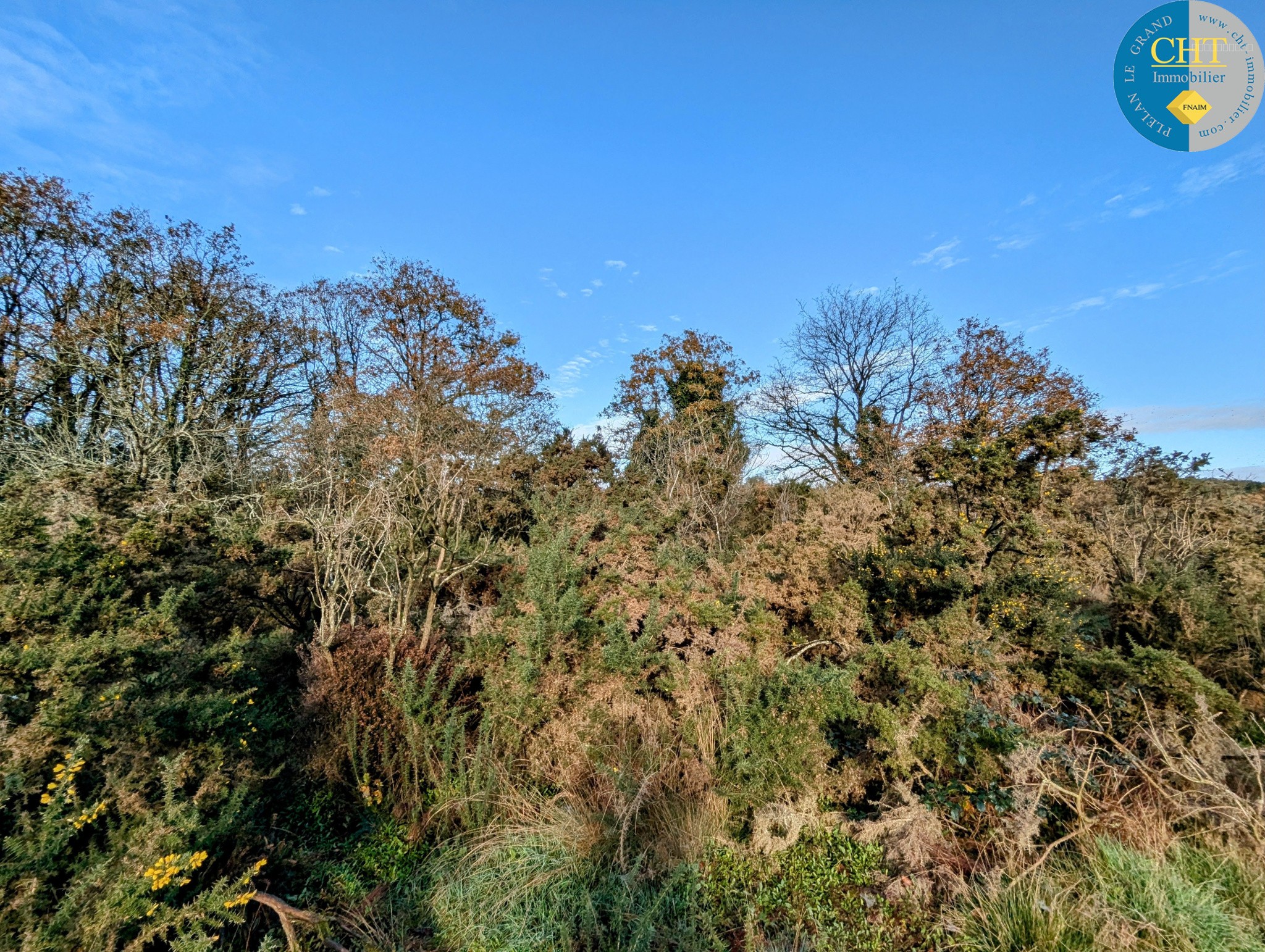 Terrain boisé à acheter avec CHT Immobilier — photo 5
