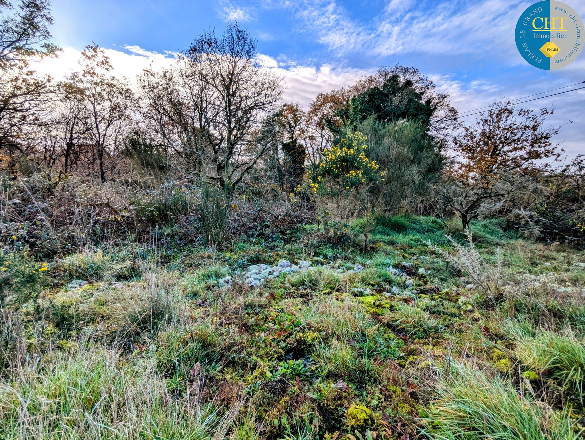 Terrain boisé à acheter avec CHT Immobilier — photo 2