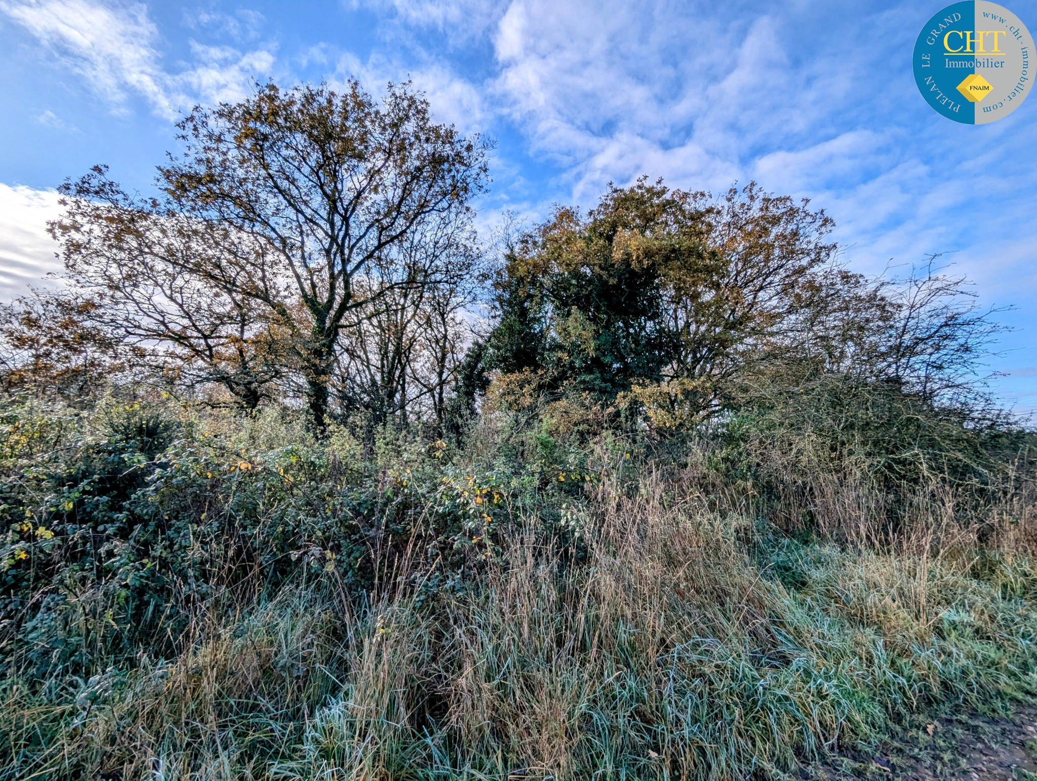Terrain boisé à acheter avec CHT Immobilier — photo 4