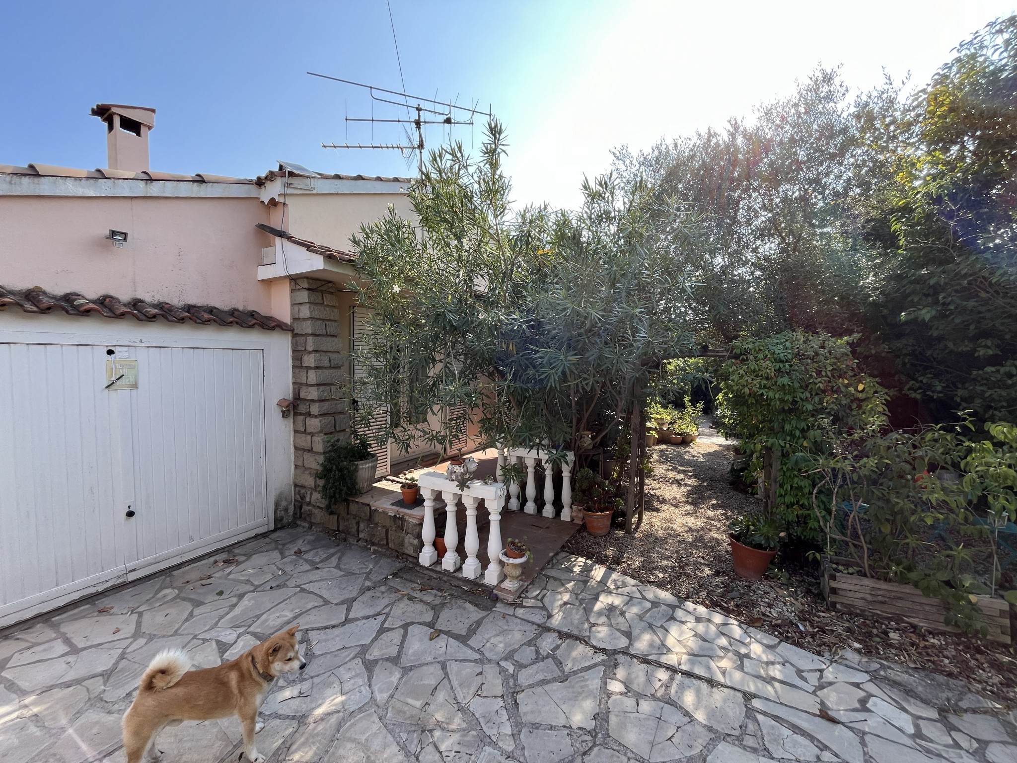 Terrain de 1097 m2 avec maison existante - Zone d'activité Puget sur Argens — photo 7