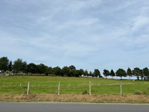 NOUVEAUTE — photo 2