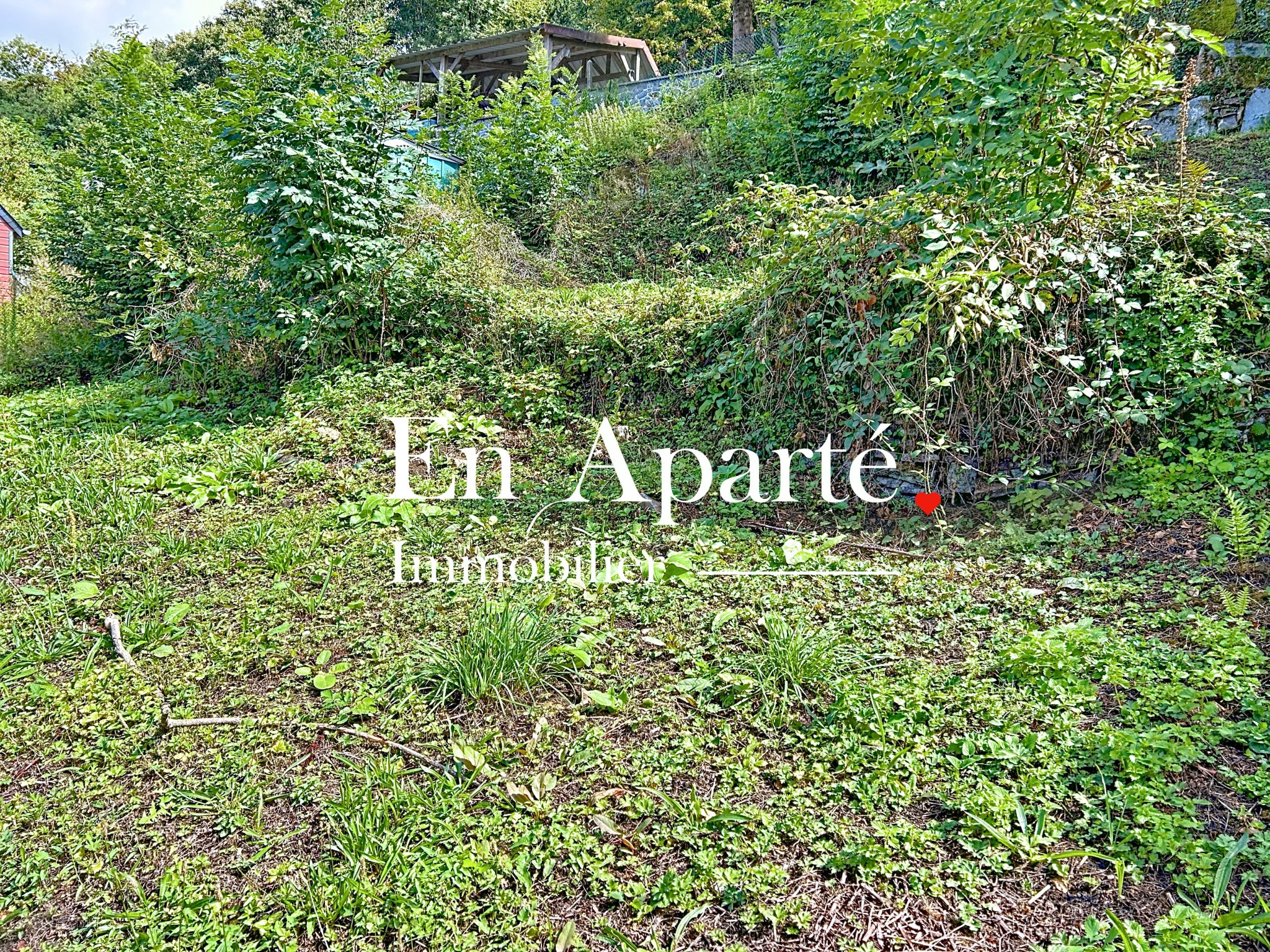 NOUVEAUTE - QUARTIER RECHERCHE — photo 2