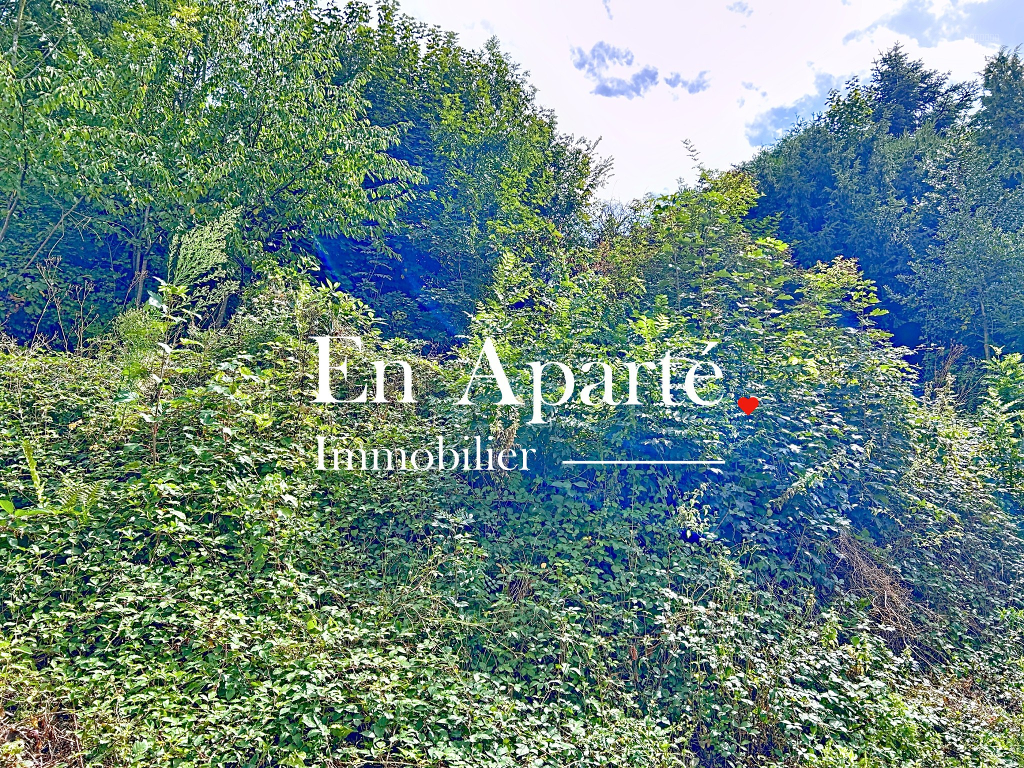 NOUVEAUTE - QUARTIER RECHERCHE — photo 7
