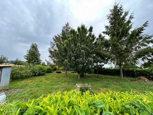 NOUVEAUTE - VAUDRY — photo 12
