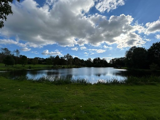 PROPRIETE ENTRE VIRE ET AVRANCHES — photo 3