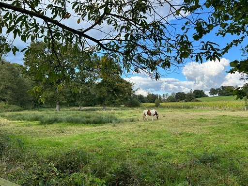 PROPRIETE ENTRE VIRE ET AVRANCHES — photo 19