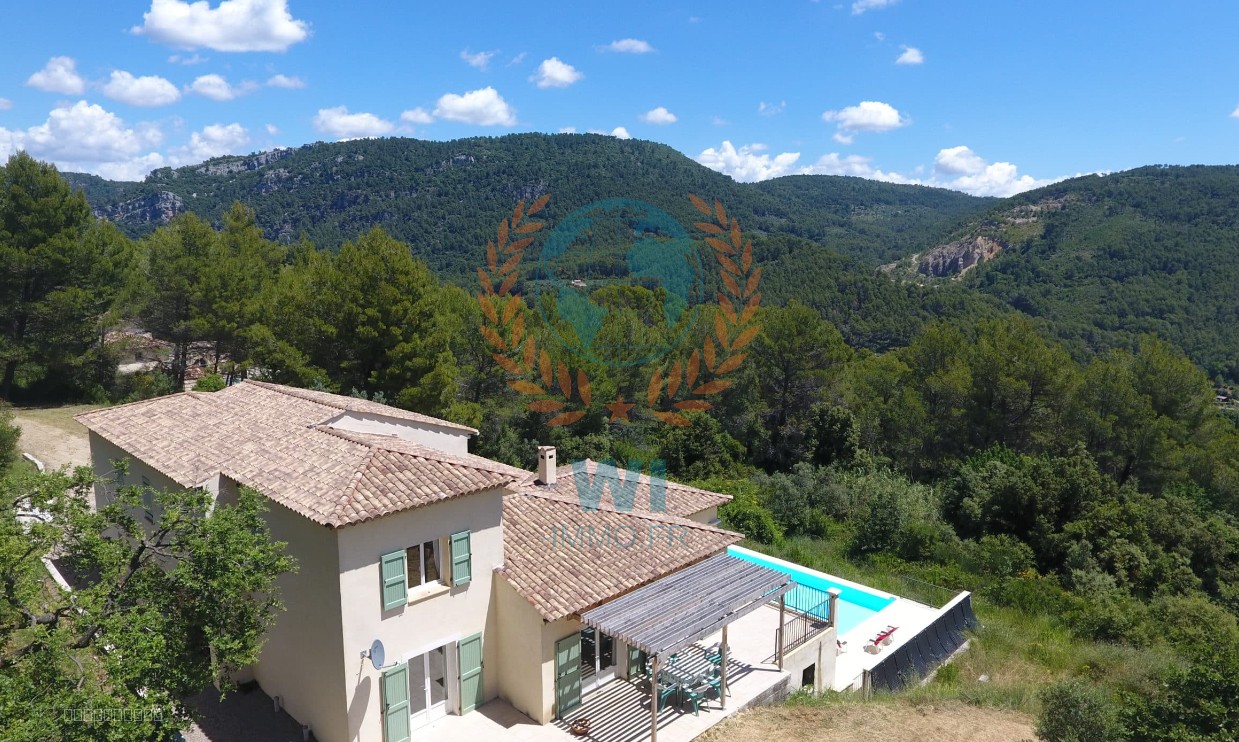 Villa individuelle avec piscine à débordement — photo 6