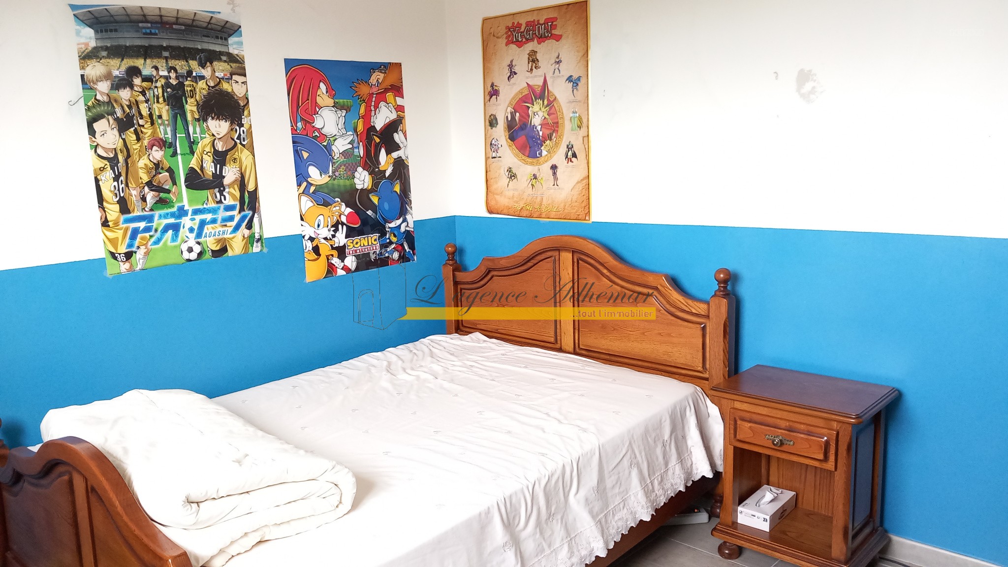A vendre sur Montèlimar secteur EST maison de 201m2 habitable sur 1300m2 de terrain. — photo 9
