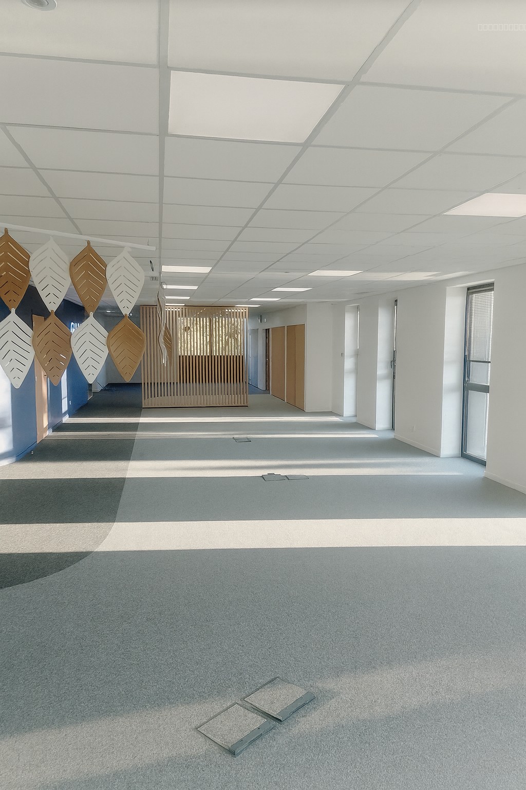 Bureaux neufs 370 m2 disibles — photo 1