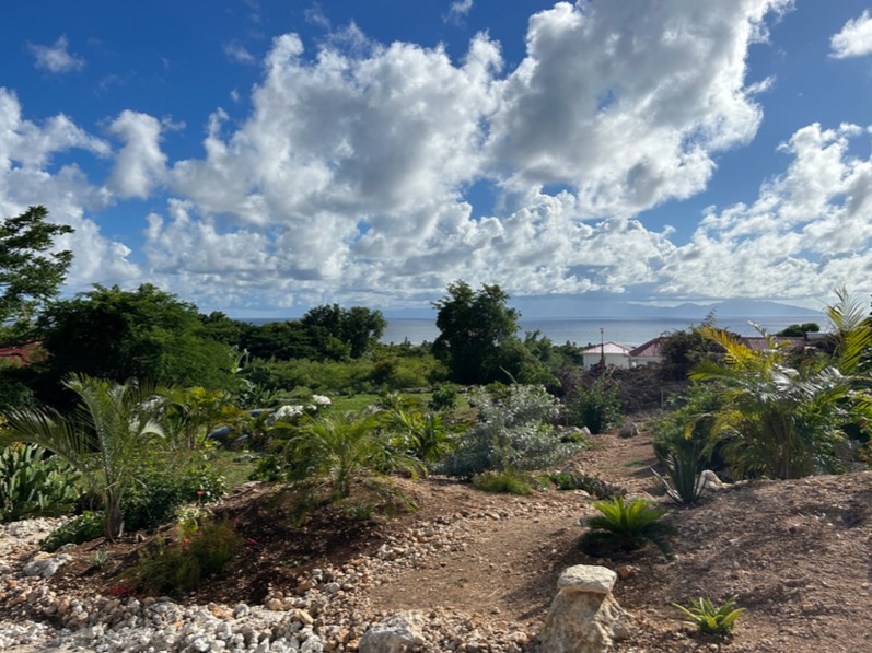 À VENDRE MAGNIFIQUE TERRAIN VUE MER 1611 M2 À MARIE-GALANTE — photo 2