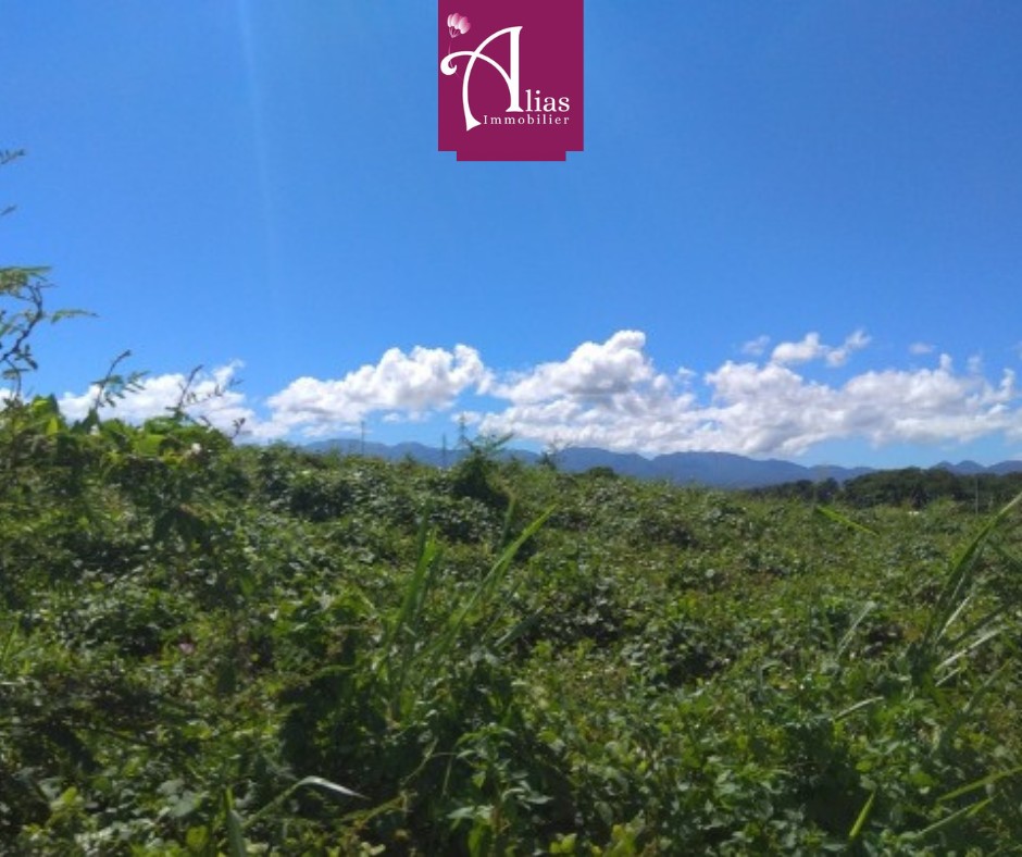 Terrains nus à louer 2 000 m2 minimum Houelbourg (Jarry) — photo 1