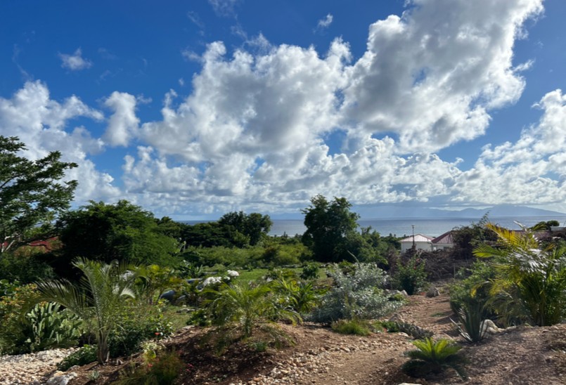 À VENDRE MAGNIFIQUE TERRAIN VUE MER 1611 M2 À MARIE-GALANTE — photo 3