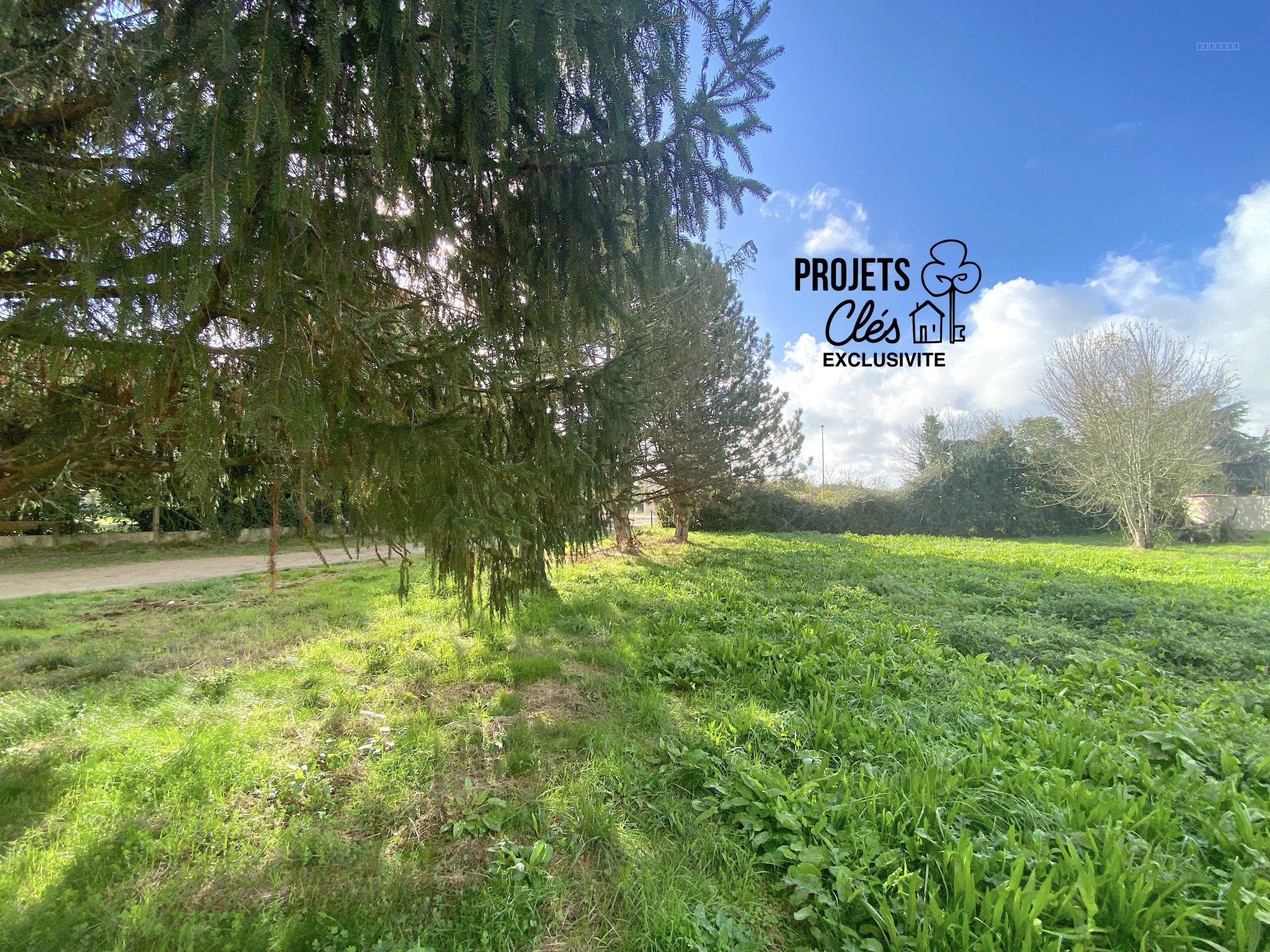 Terrain constructible de 348m2 centre-ville — photo 7