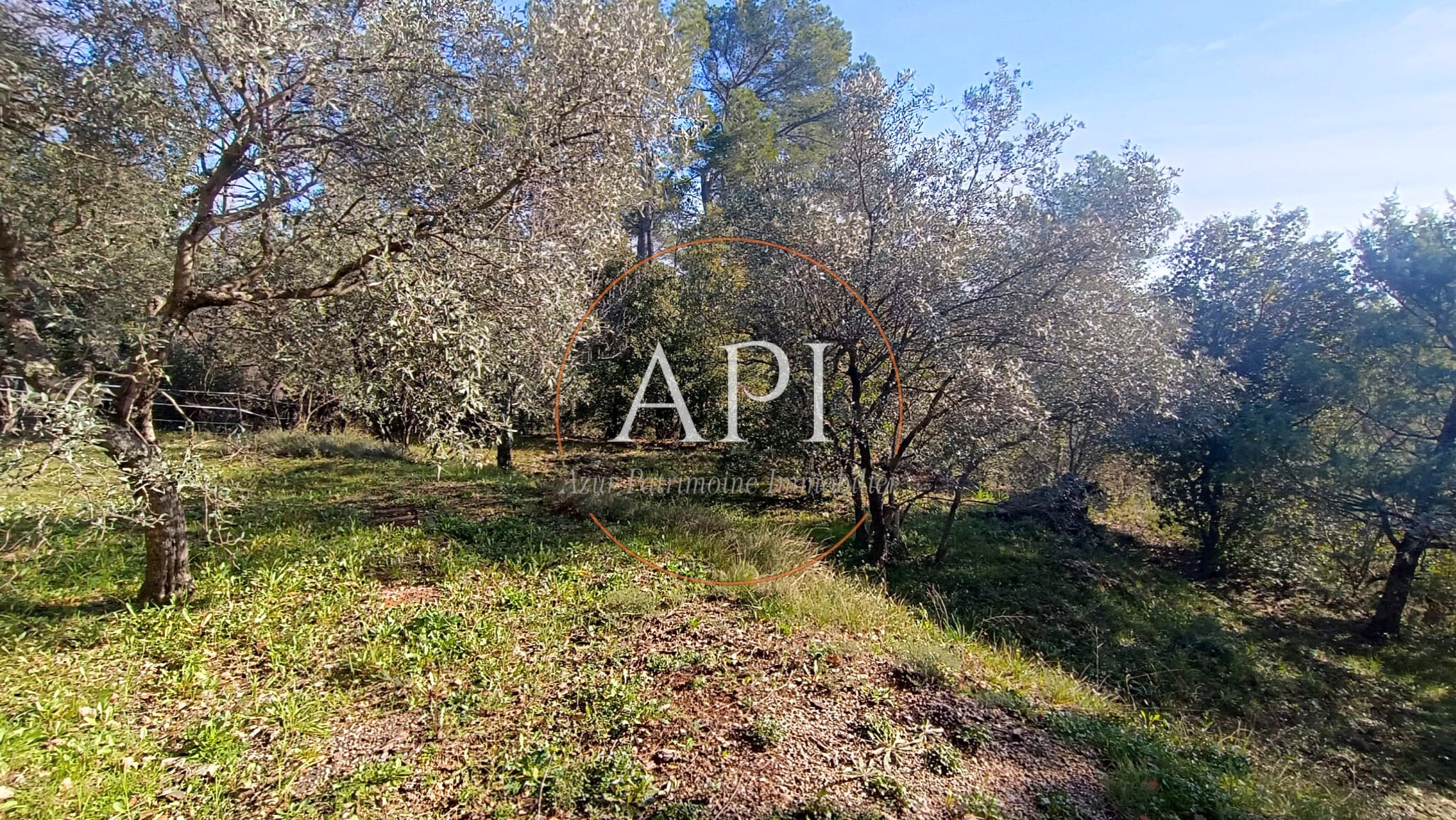 Jolie maison de 130 m2 sur 2800 m2 de terrain à Seillans — photo 4