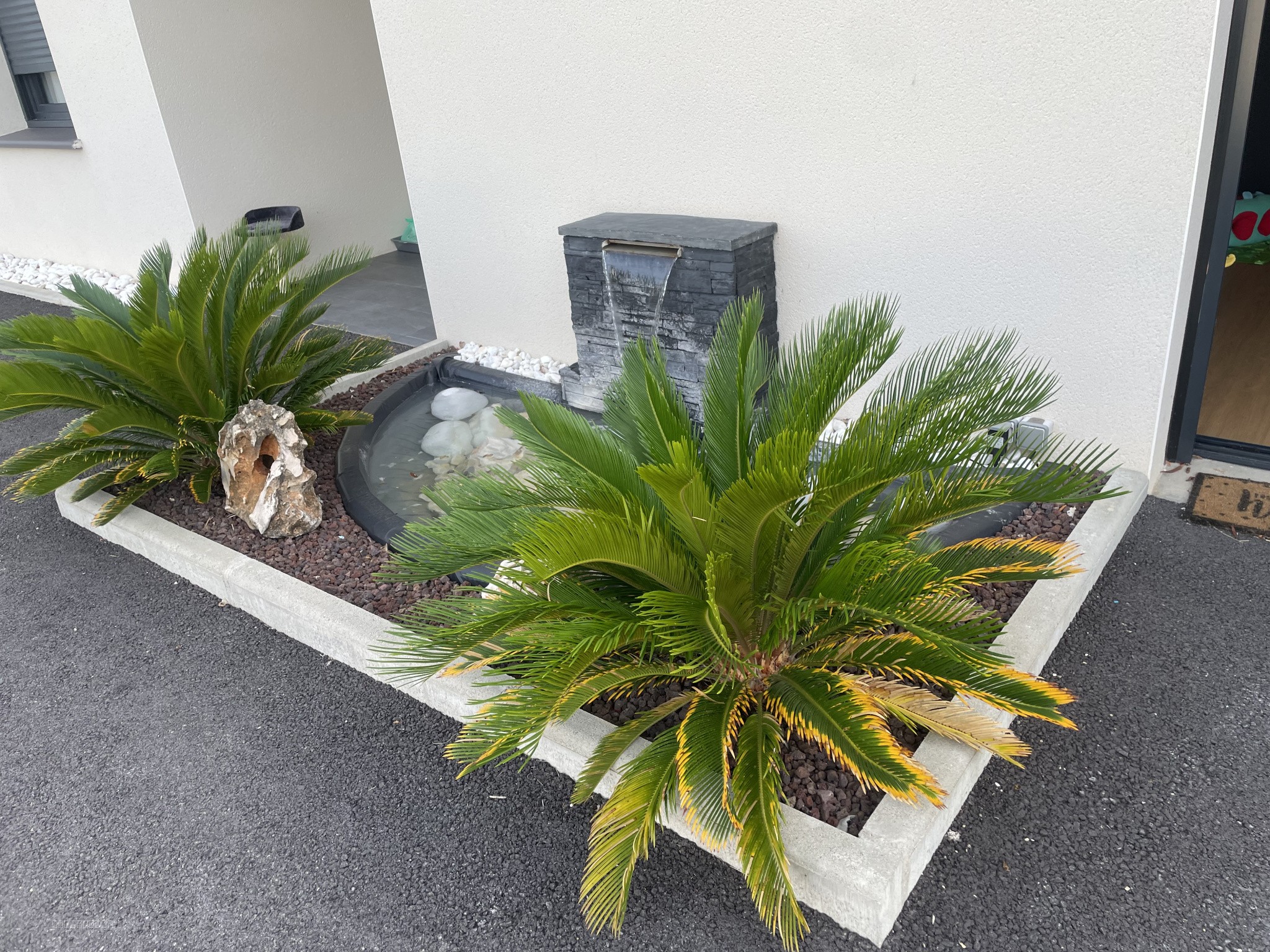 Villa de 170 m2 à Diepentale avec parc  et bois privé — photo 8