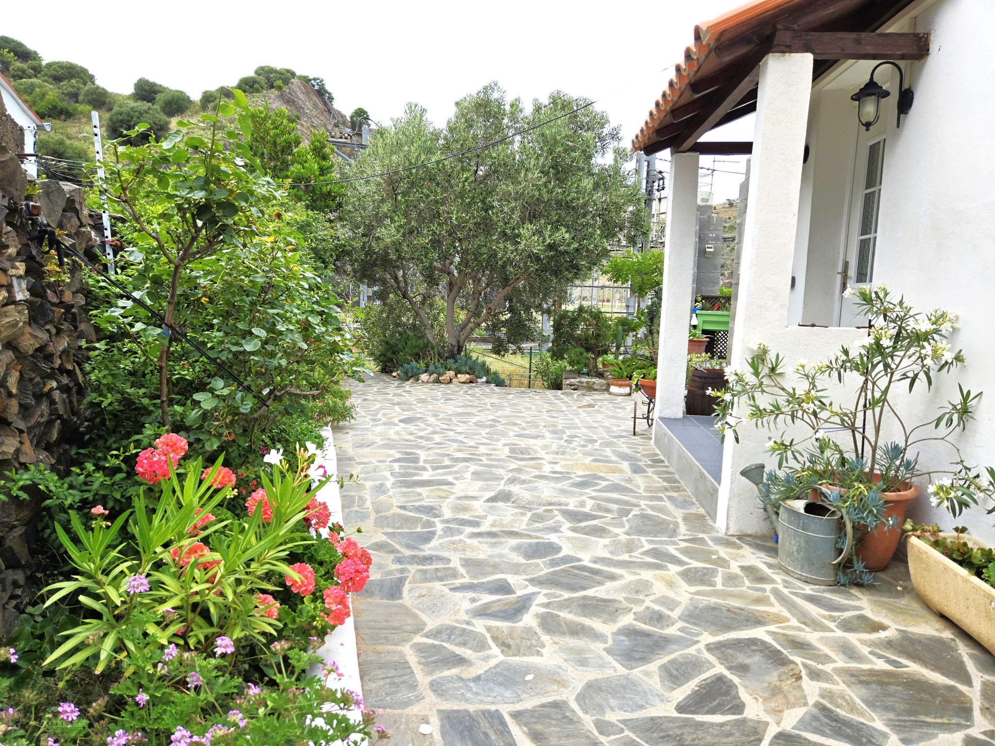 Maison indépendante avec jardin à Cerbère — photo 6