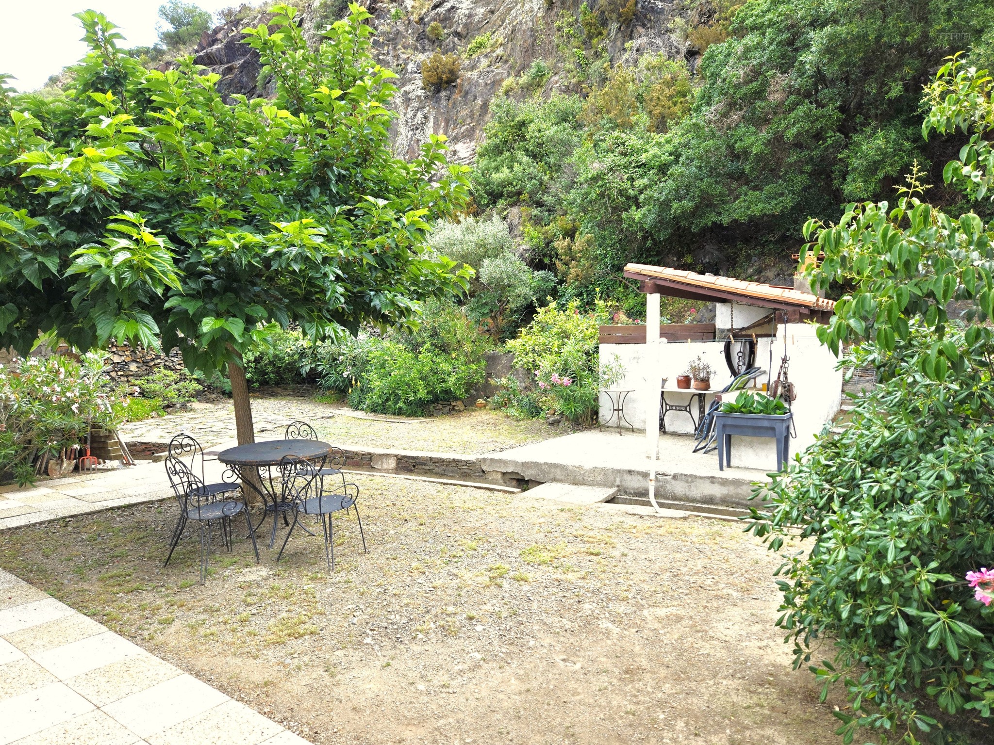 Maison indépendante avec jardin à Cerbère — photo 3