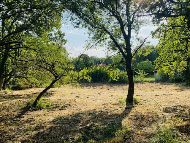 A 12 mn au nord d'Uzès Beau terrain à bâtir éligible de 1000m2 au PTZ pour les primo accédants ! — photo 3
