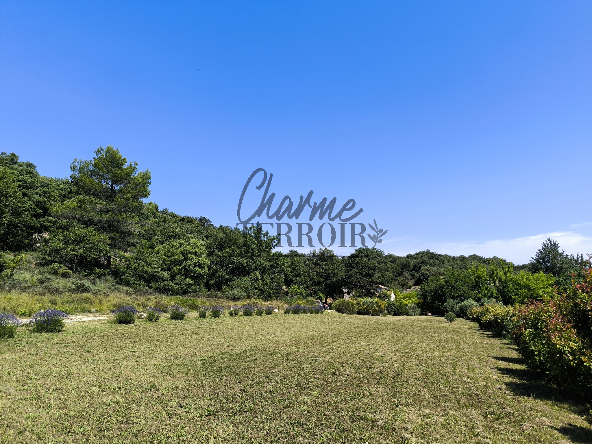 En campagne Mas rénové sur 9500m2 — photo 4