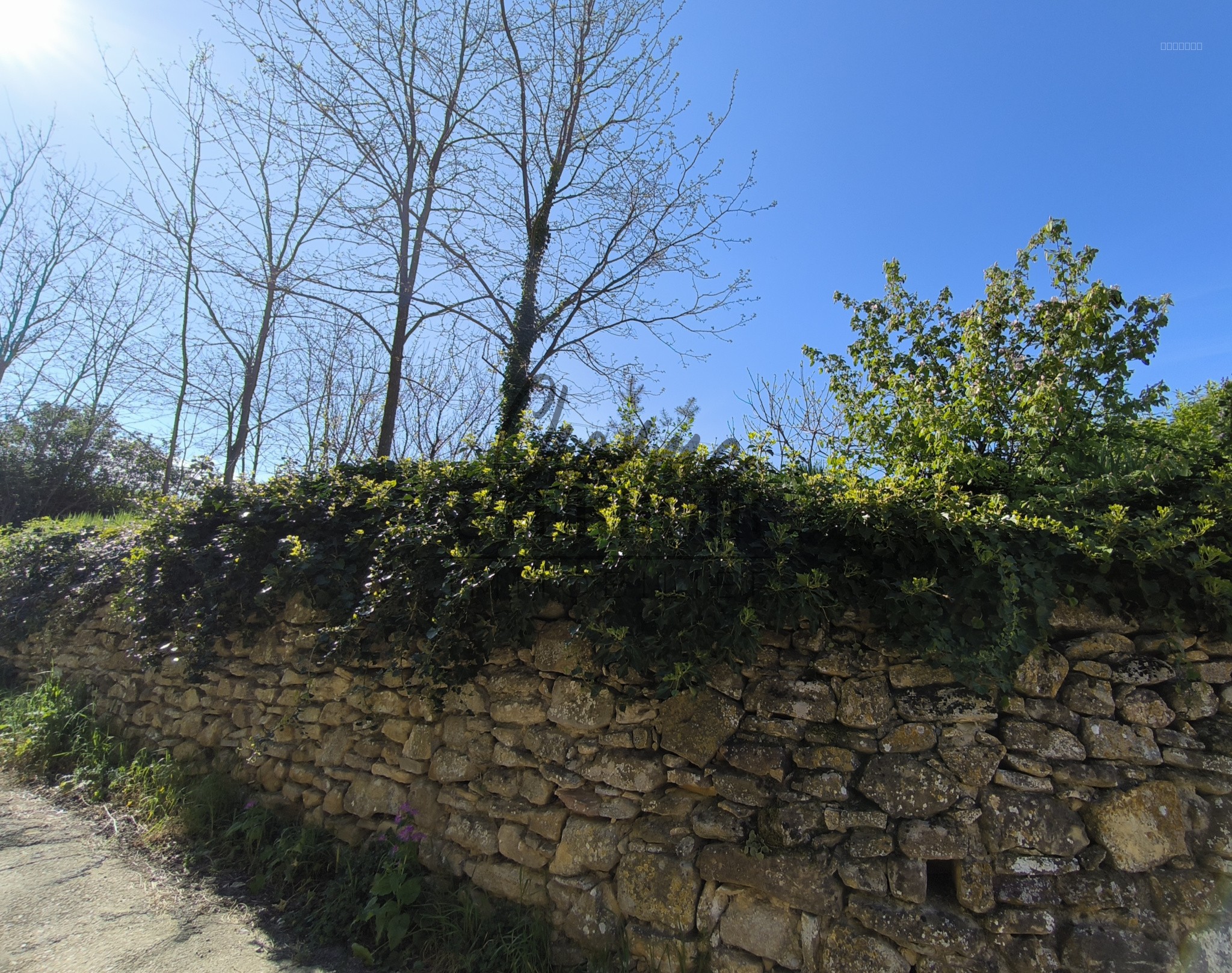 A 12 mn au nord d'Uzès 2 Beaux terrains à bâtir éligible au PTZ pour les primo accédants ! — photo 5