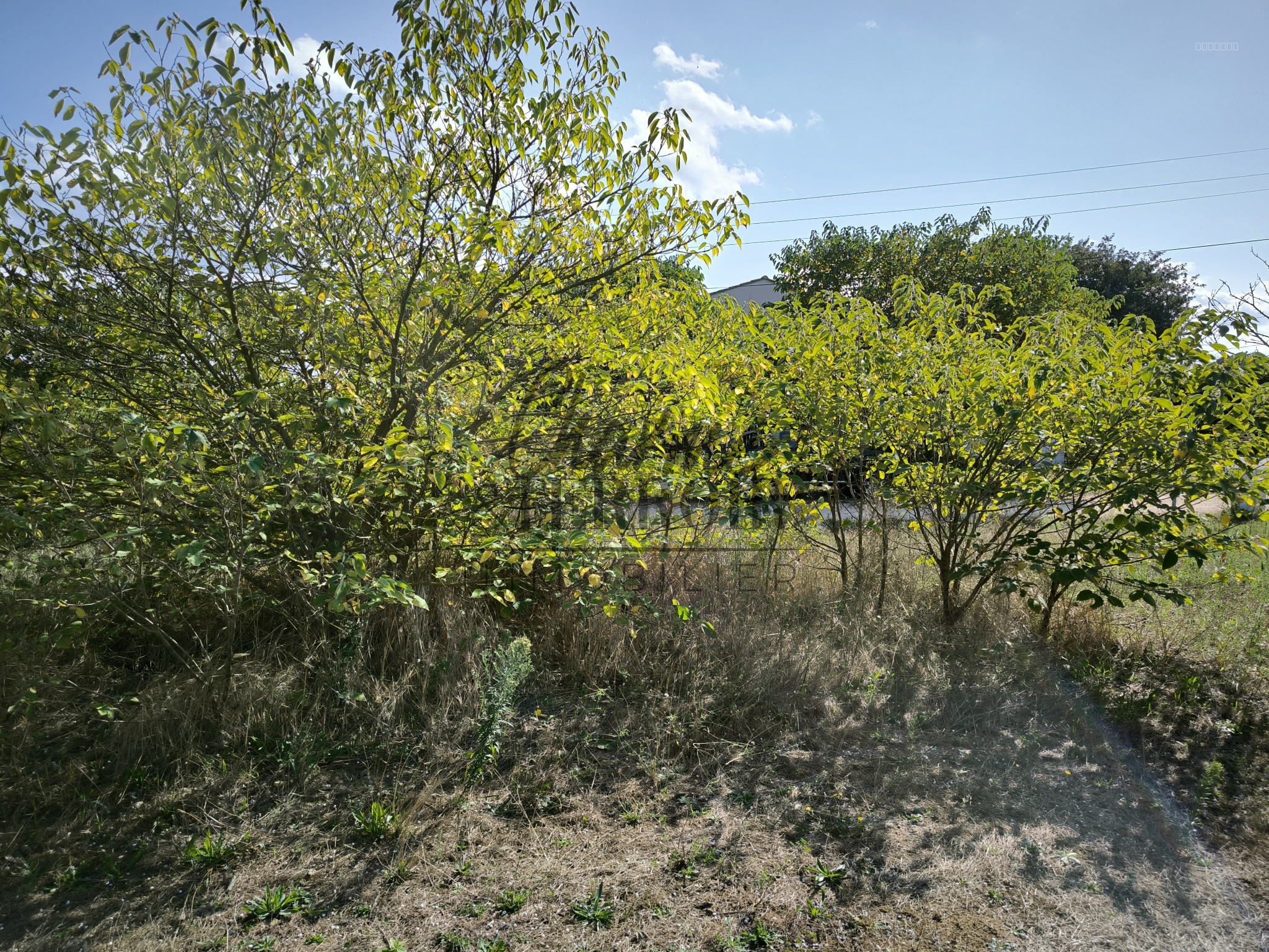 Nord Uzès terrain à bâtir de 825m2 éligible au PTZ pour les primo accédants ! — photo 5