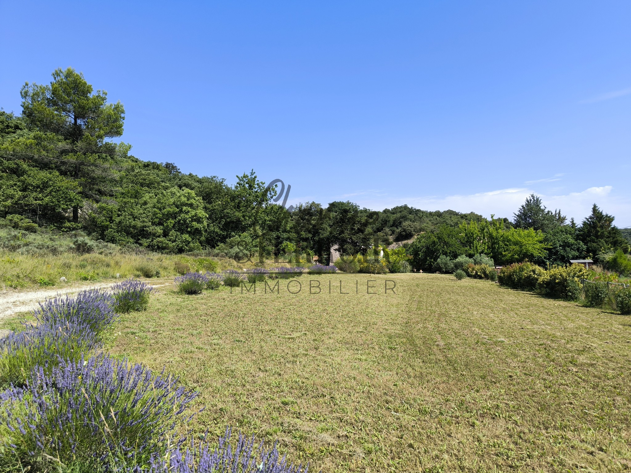En campagne Mas rénové sur 9500m2 — photo 14