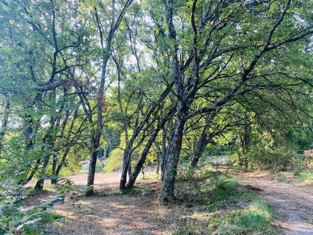 A 12 mn au nord d'Uzès Beau terrain à bâtir éligible de 1000m2 au PTZ pour les primo accédants ! — photo 7