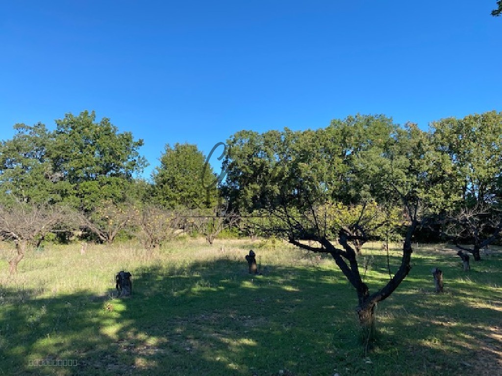 A 12 mn au nord d'Uzès Beau terrain à bâtir éligible au PTZ pour les primo accédants ! — photo 2