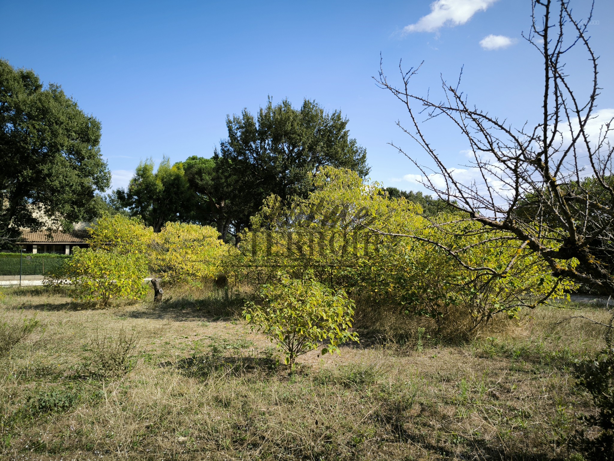 Nord Uzès terrain à bâtir de 825m2 éligible au PTZ pour les primo accédants ! — photo 3